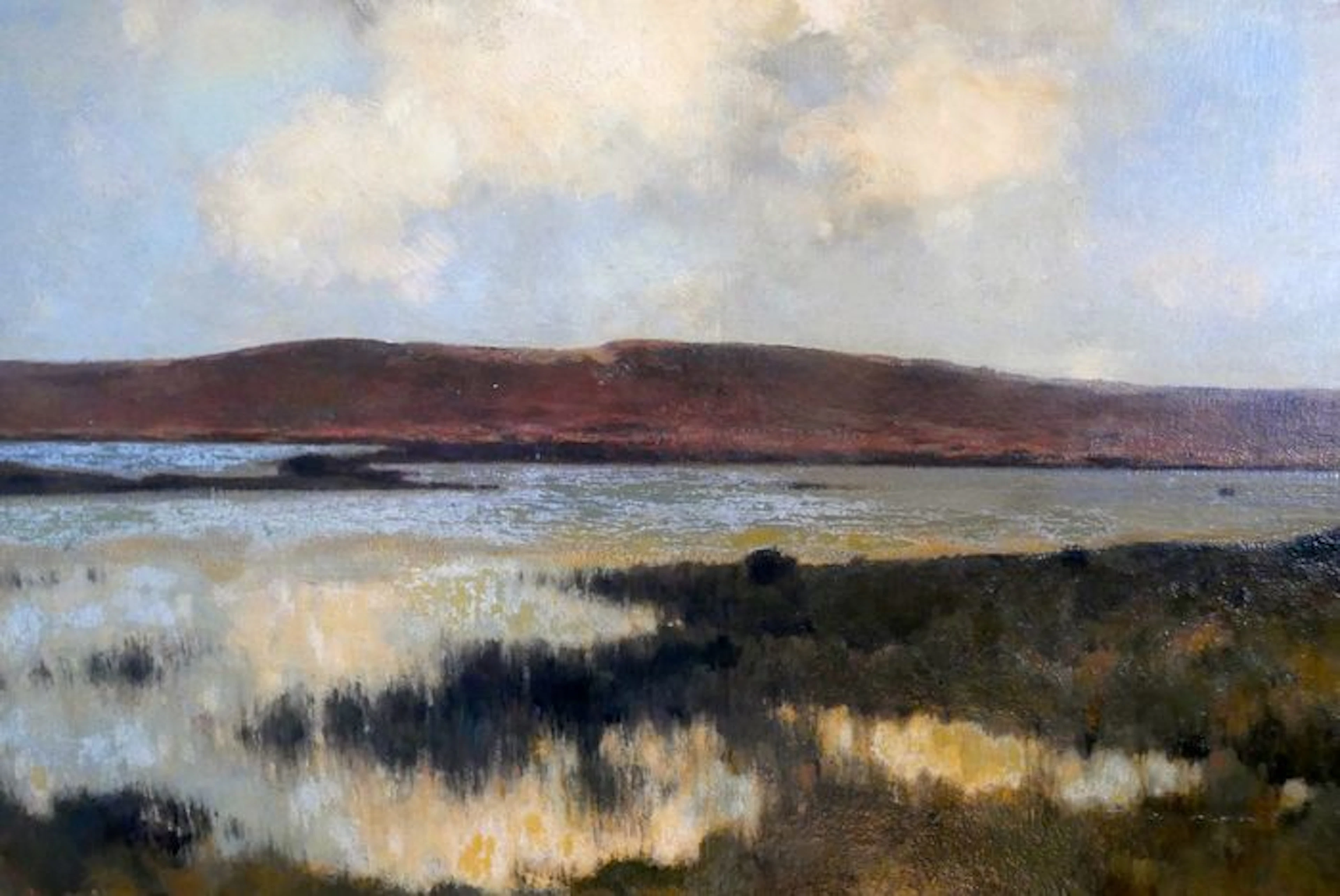 L.W.R. Wenckebach (1860-1937) (Ludwig Willem Reymert Wenckebach)