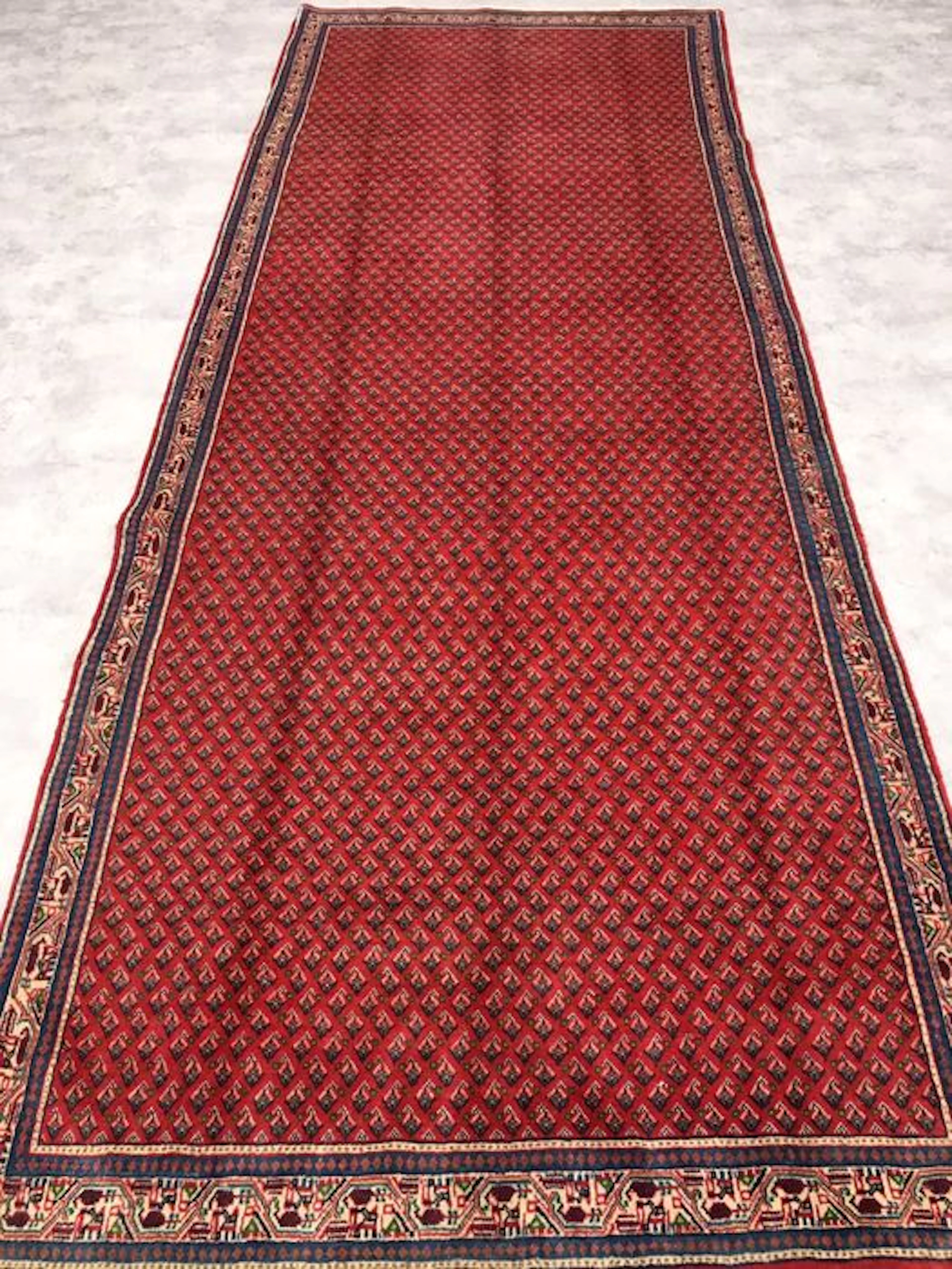 "Overlong" Hübscher Perserteppich Sarough Mir - Made ende des 20. Jh. 153x410 cm - Ab 1€