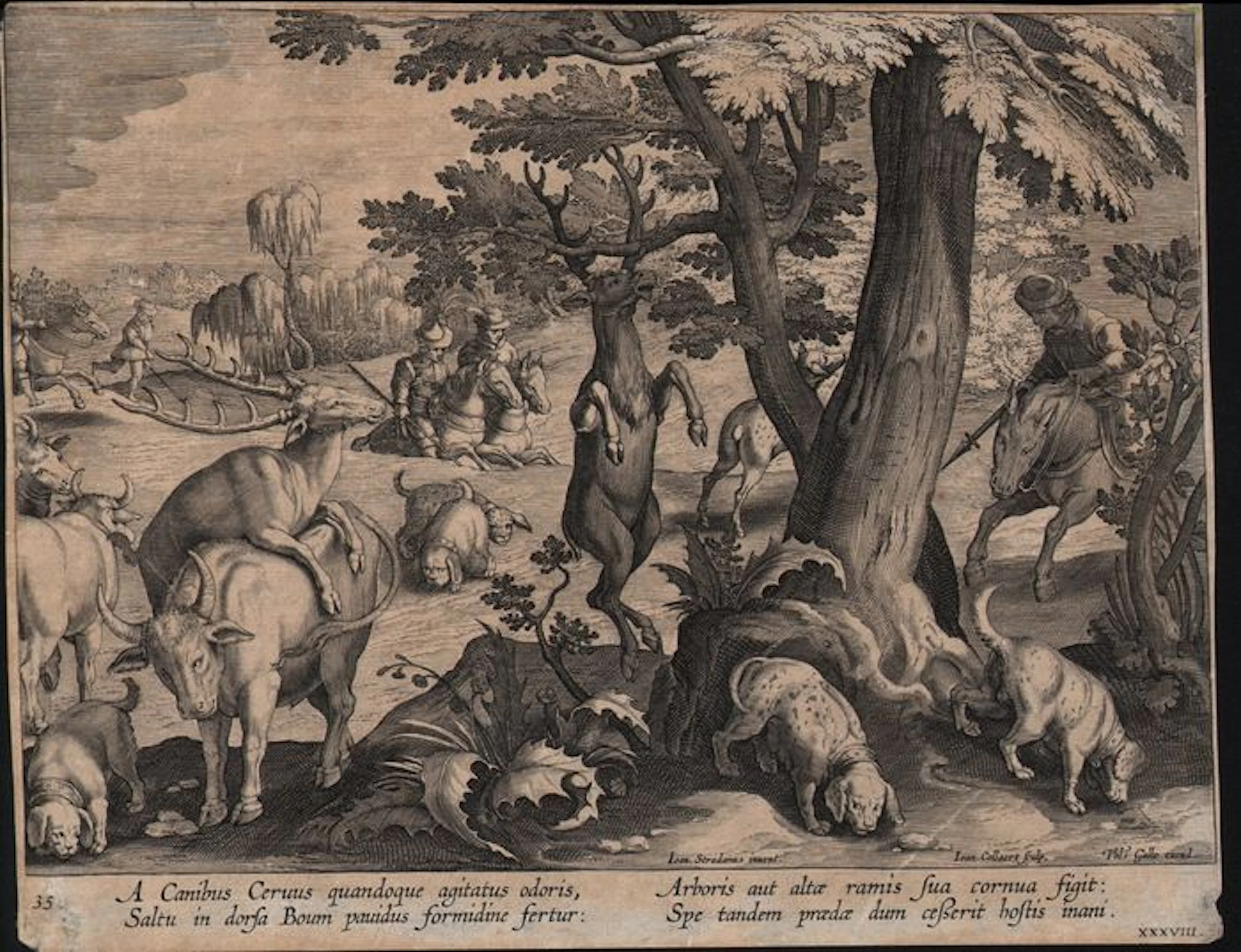 Jan van der Straet, (1523-1605) door Jan Collaert II (1561 - c.1620) - Deer hunt with dogs tracking - from Venationes Ferarum, Avium, Piscium - 1578