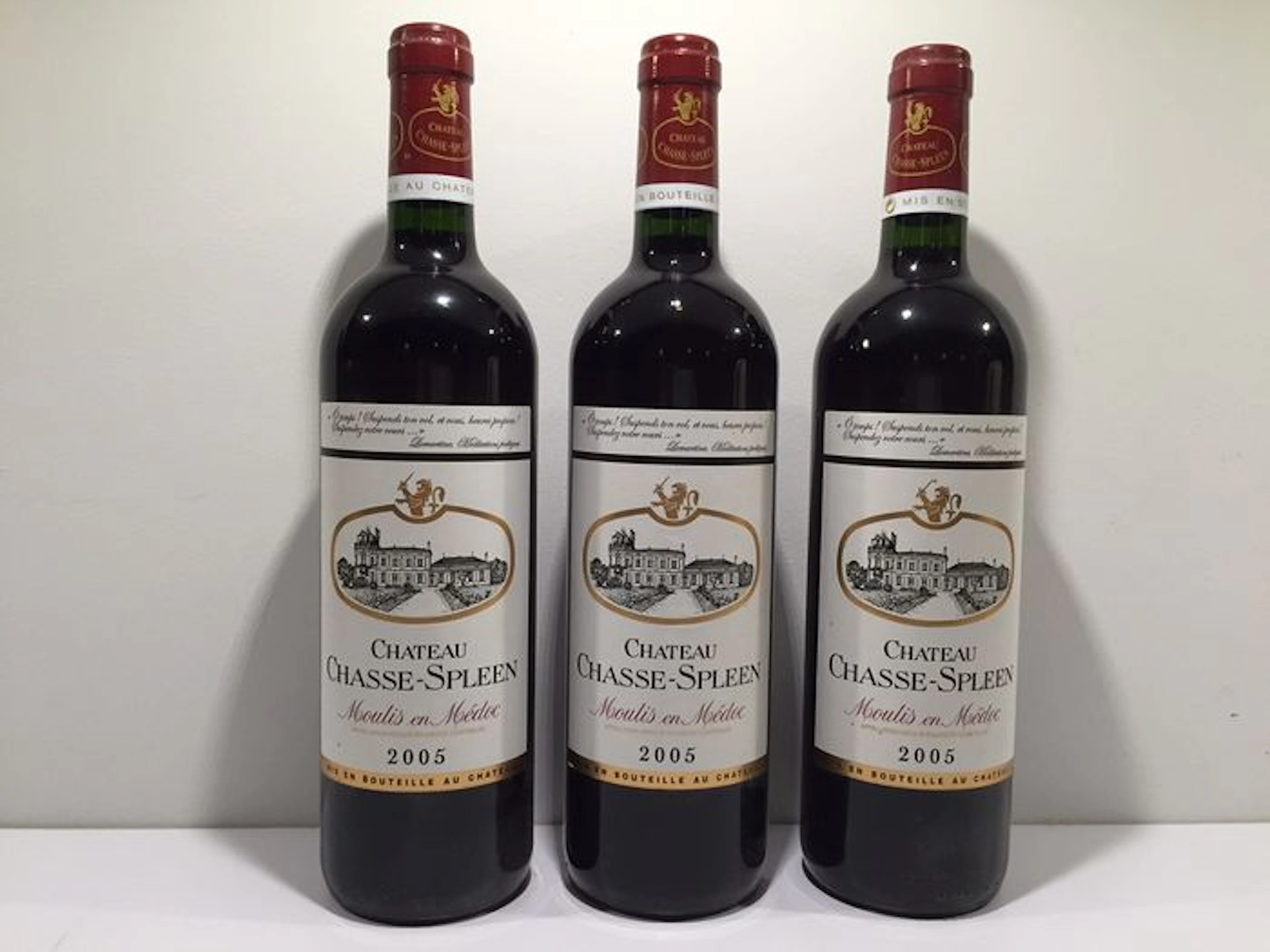 2005 Chateau Chasse Spleen, Moulis en Medoc - 3 bottles