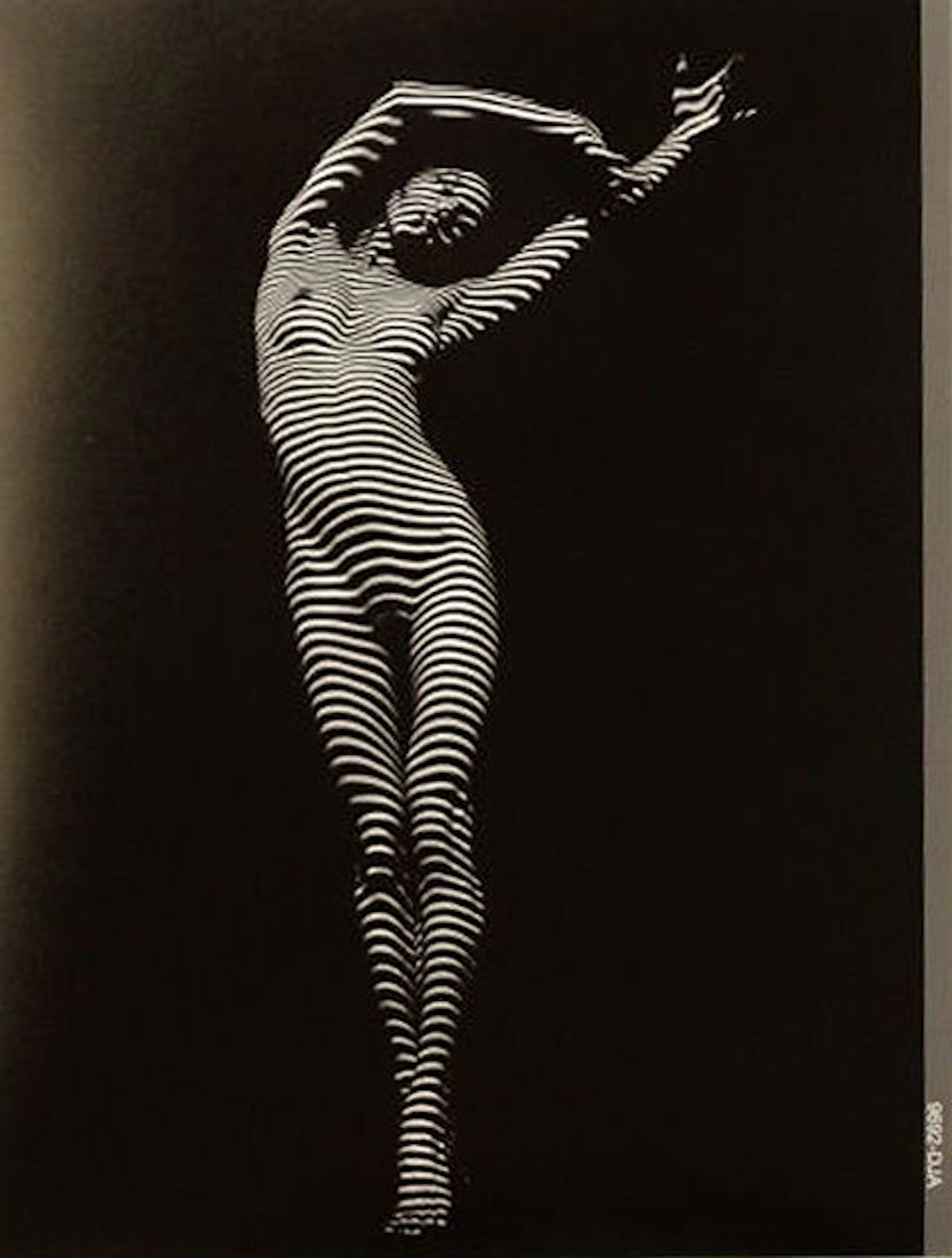 Chris Maher - Striped Zebra Woman