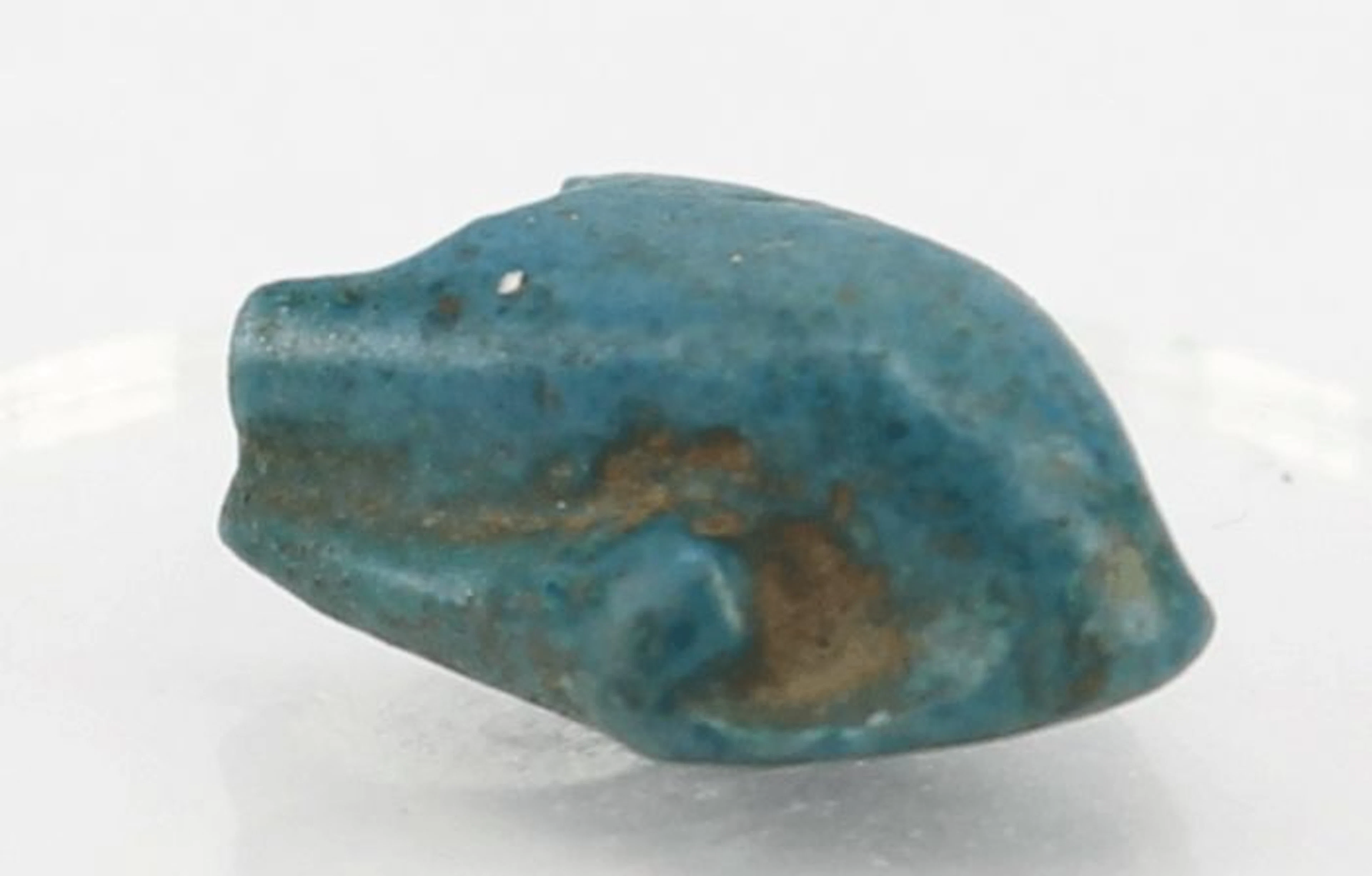 18 Dynasty, Amulet; blue faience; snake's head; broken - ca. 1,5 x 1cm c. 0,59 x 0,39 inches