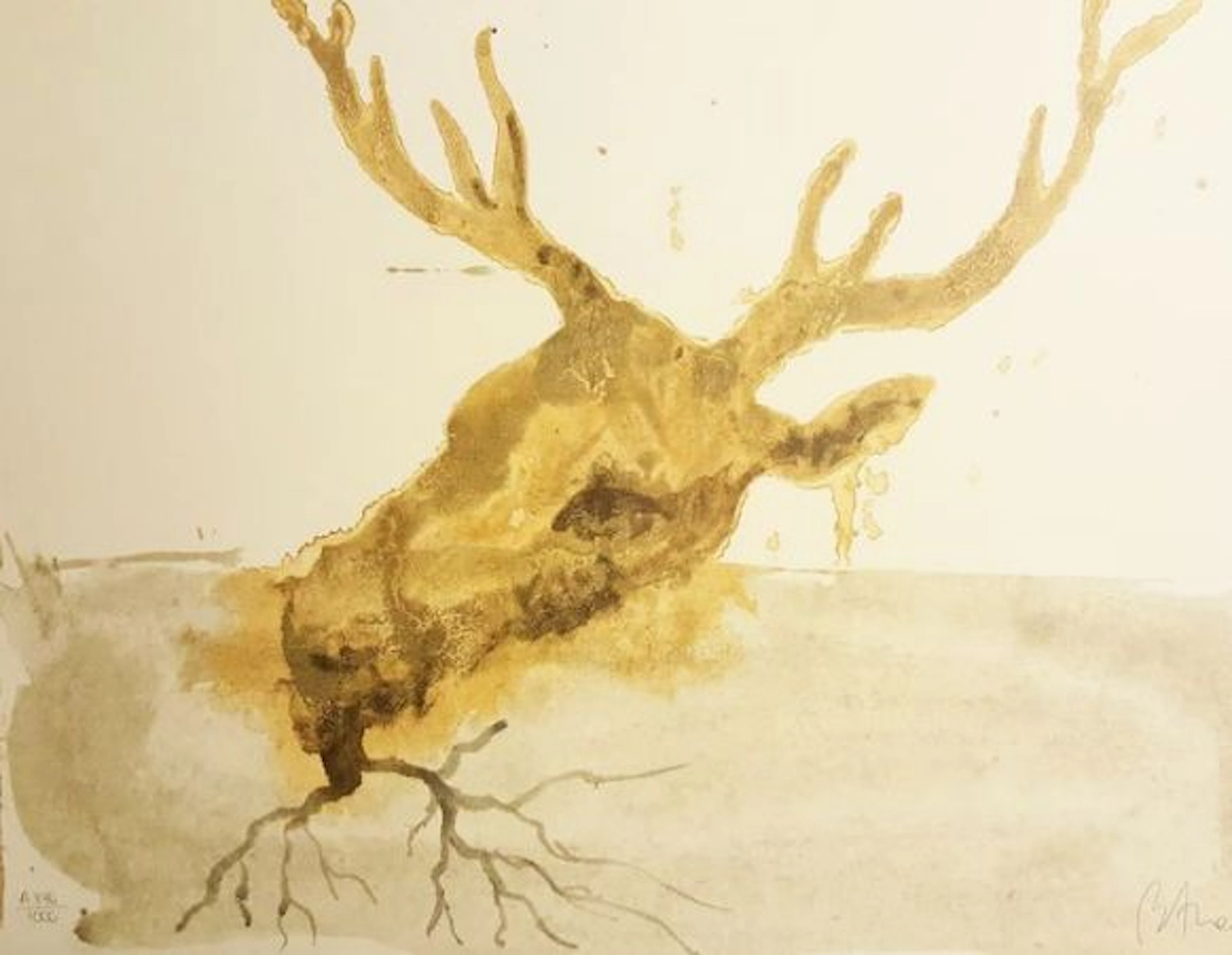 Miquel Barceló - Head and root