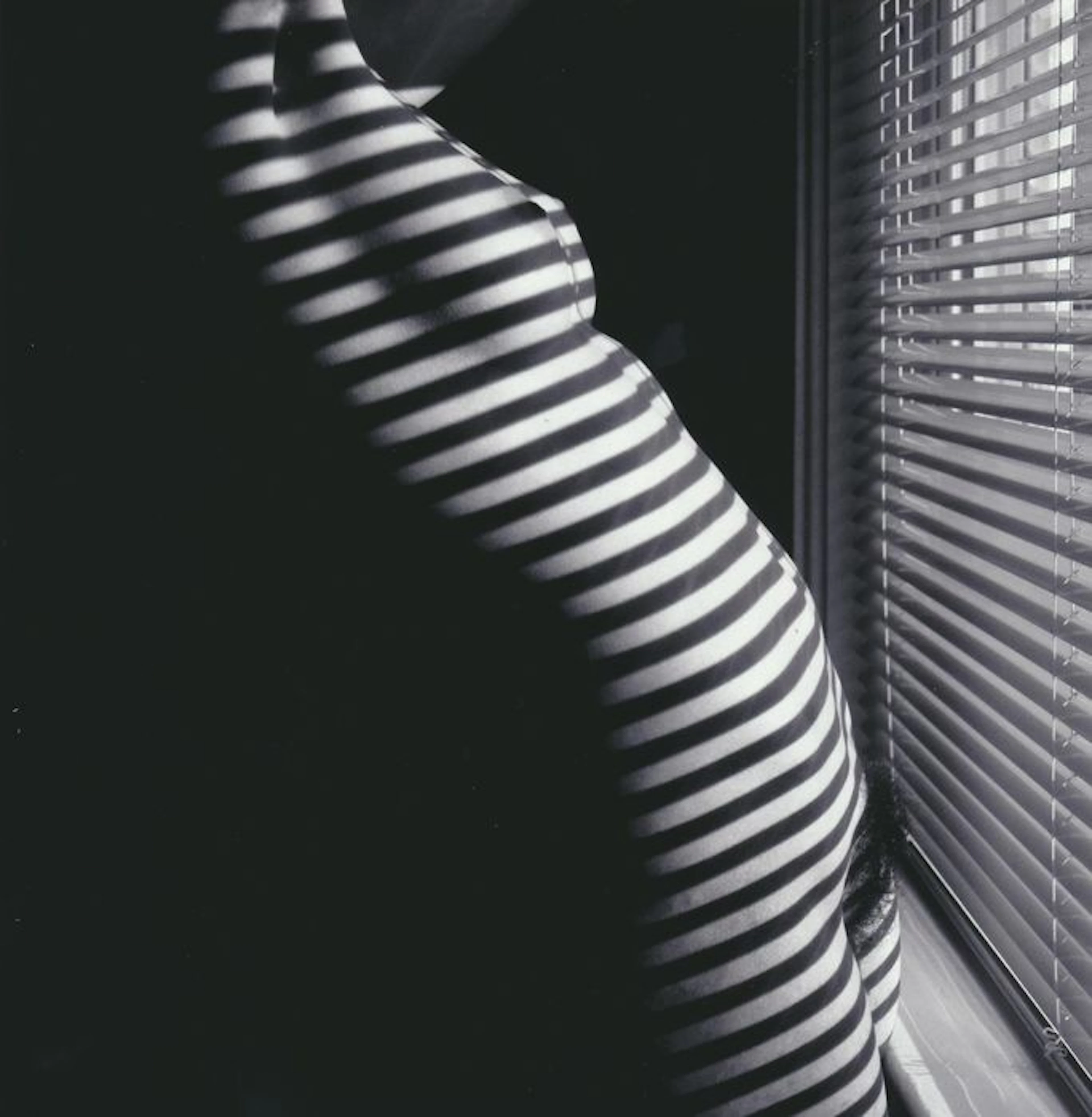 Photo ; Andrew Kaiser - Real Shadow Sripes - 2016