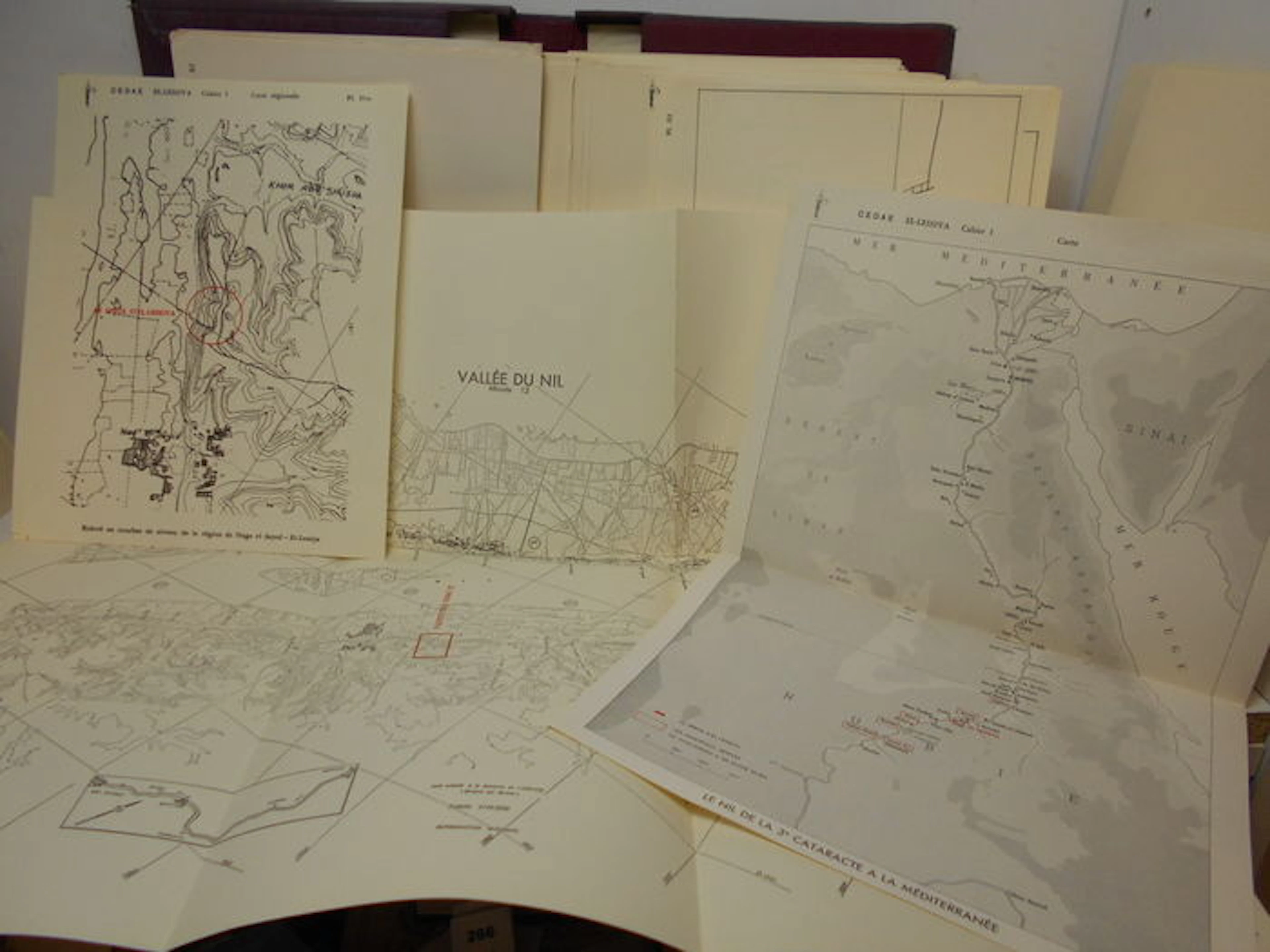 Desroches-Noblecourt, Donadoni, Gamal Moukhtar. Le Speos D'El-Lessiya. (Sanctuaire de Nubie). Collection scientifique - 1968