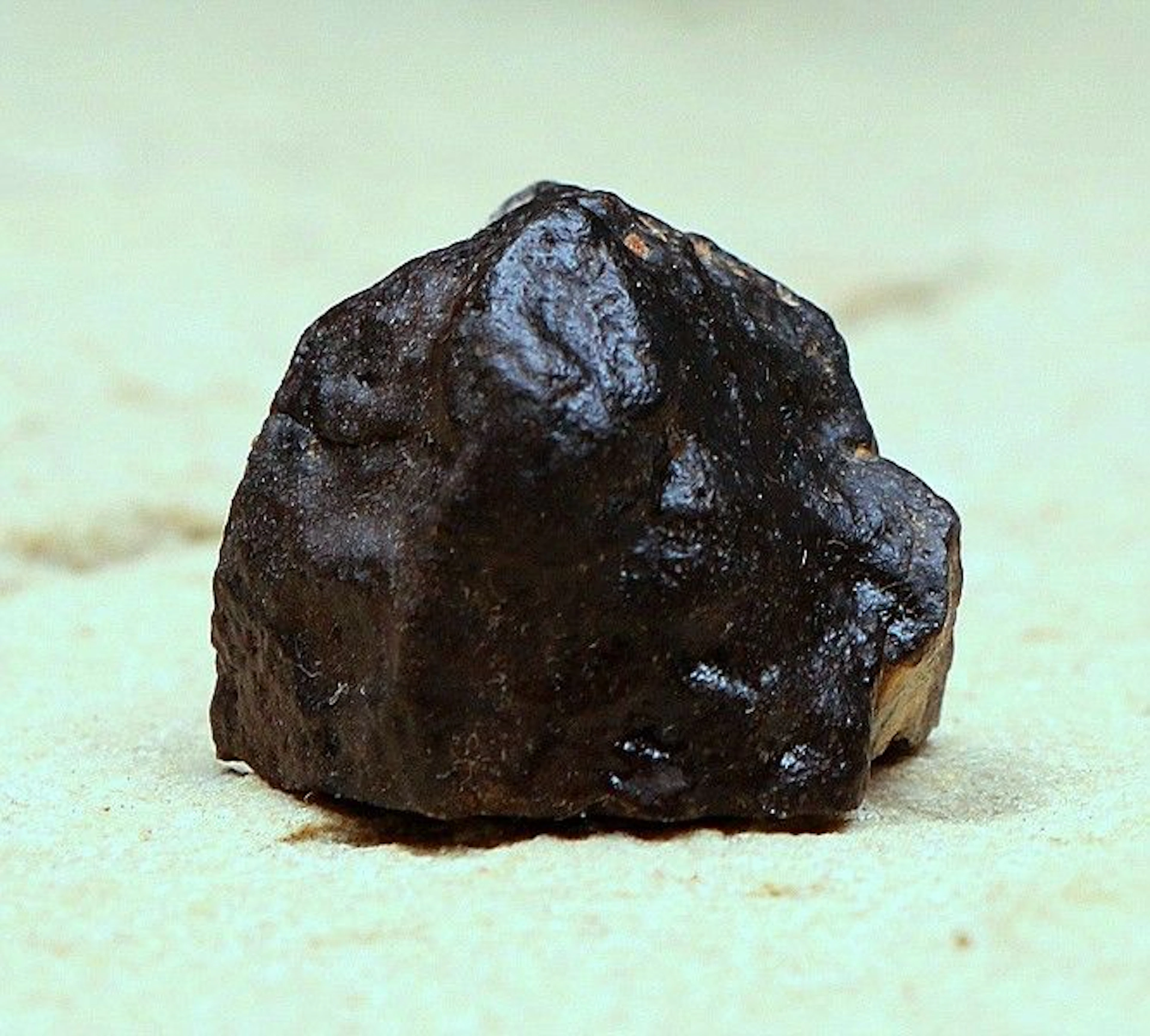 NWA 10574 - Carbonaceous chondrite- Mighei-Groupe (CM2/C03) - Meteorite - Chondrule pseudomorphs - Mineral fragments and rare CAIs - 3.35 x 2.10 - 10