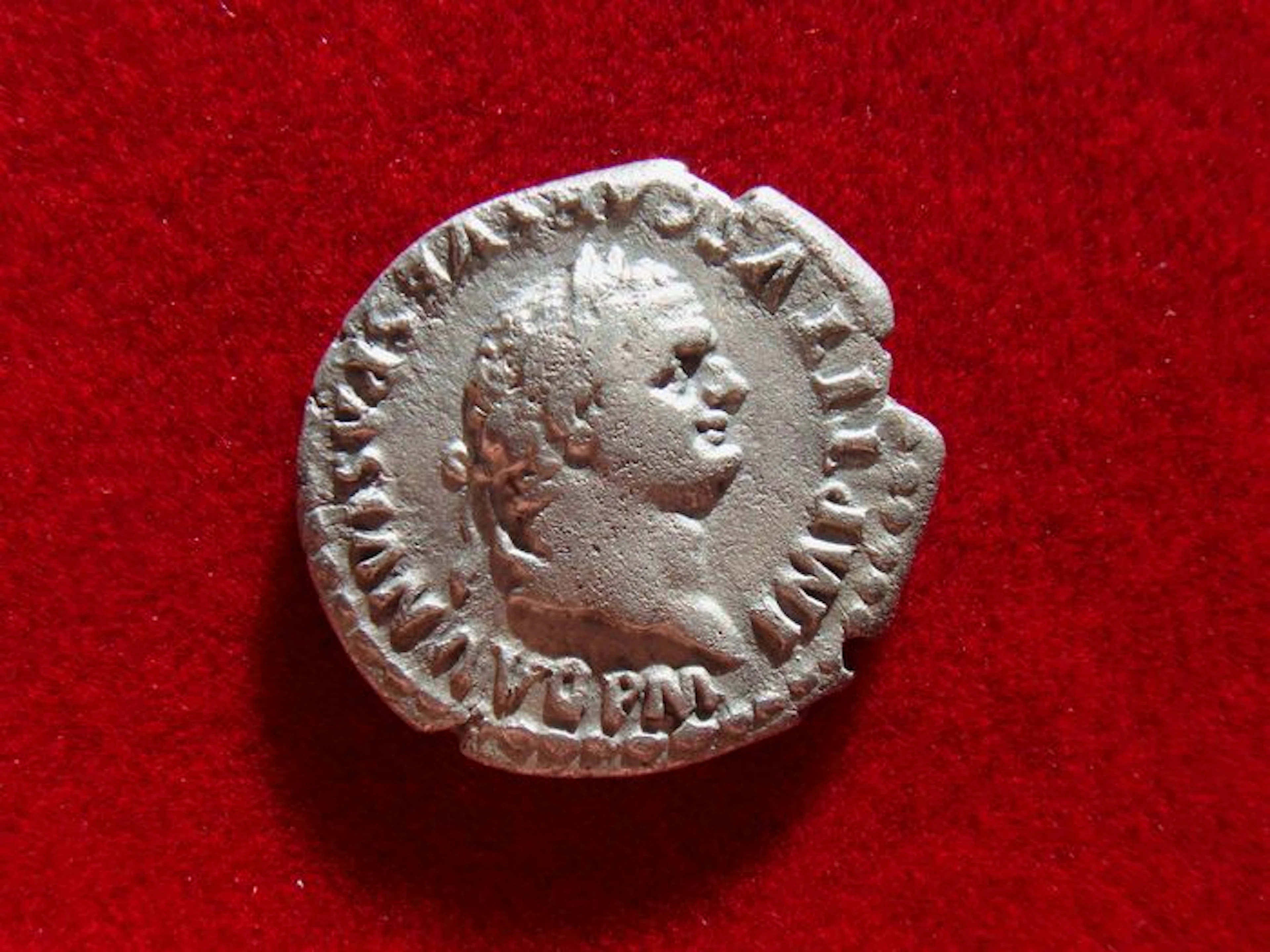 Roman Empire - Titus (79 - 81 A.D.) silver denarius (3,00 grs. 19 mm.). Rome mint, january-july 80 A.D. TR P IX IMP XV COS VIII P P, dolphin coiled around anchor
