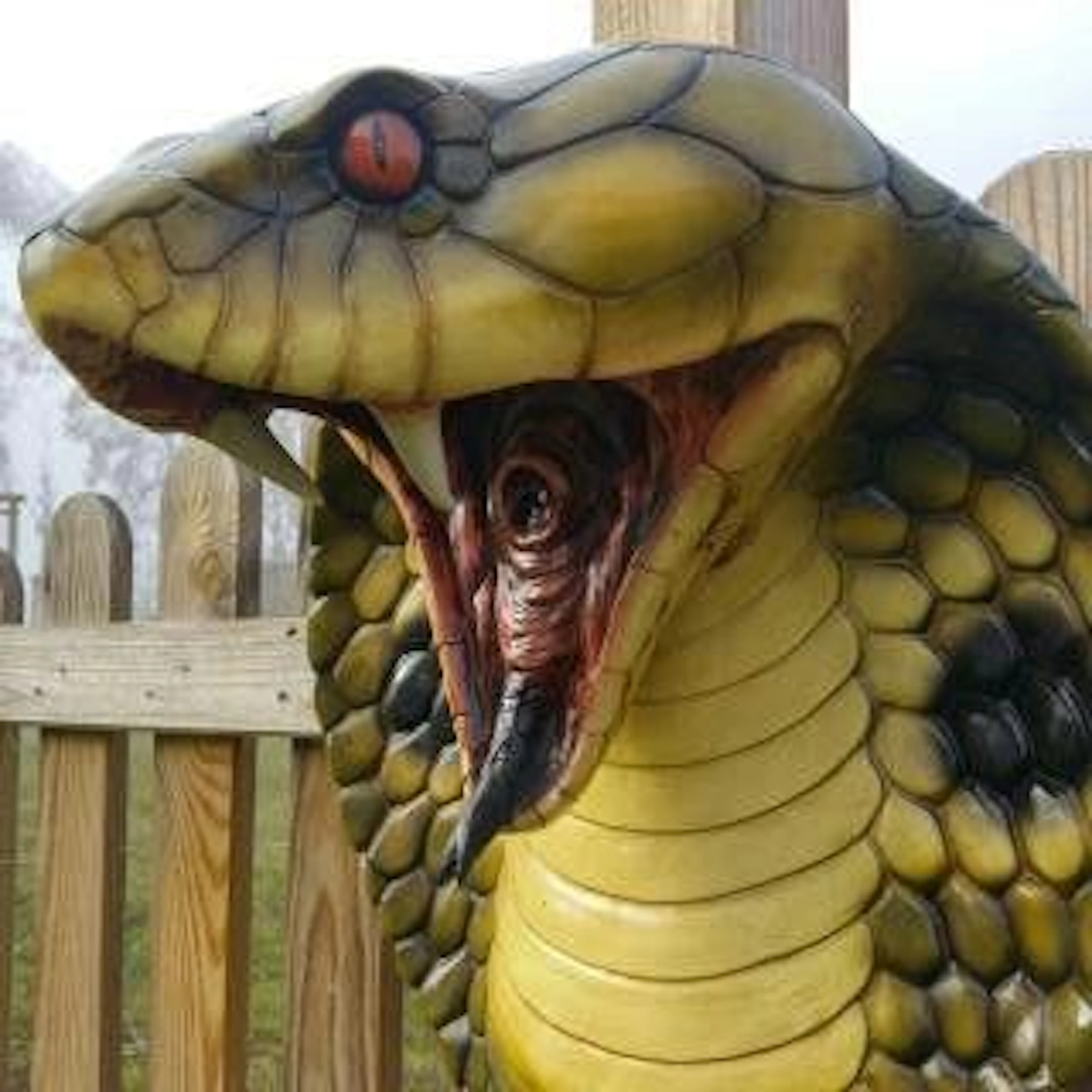 Wall art - Cobra - snake head - very large and heavy - beautiful.