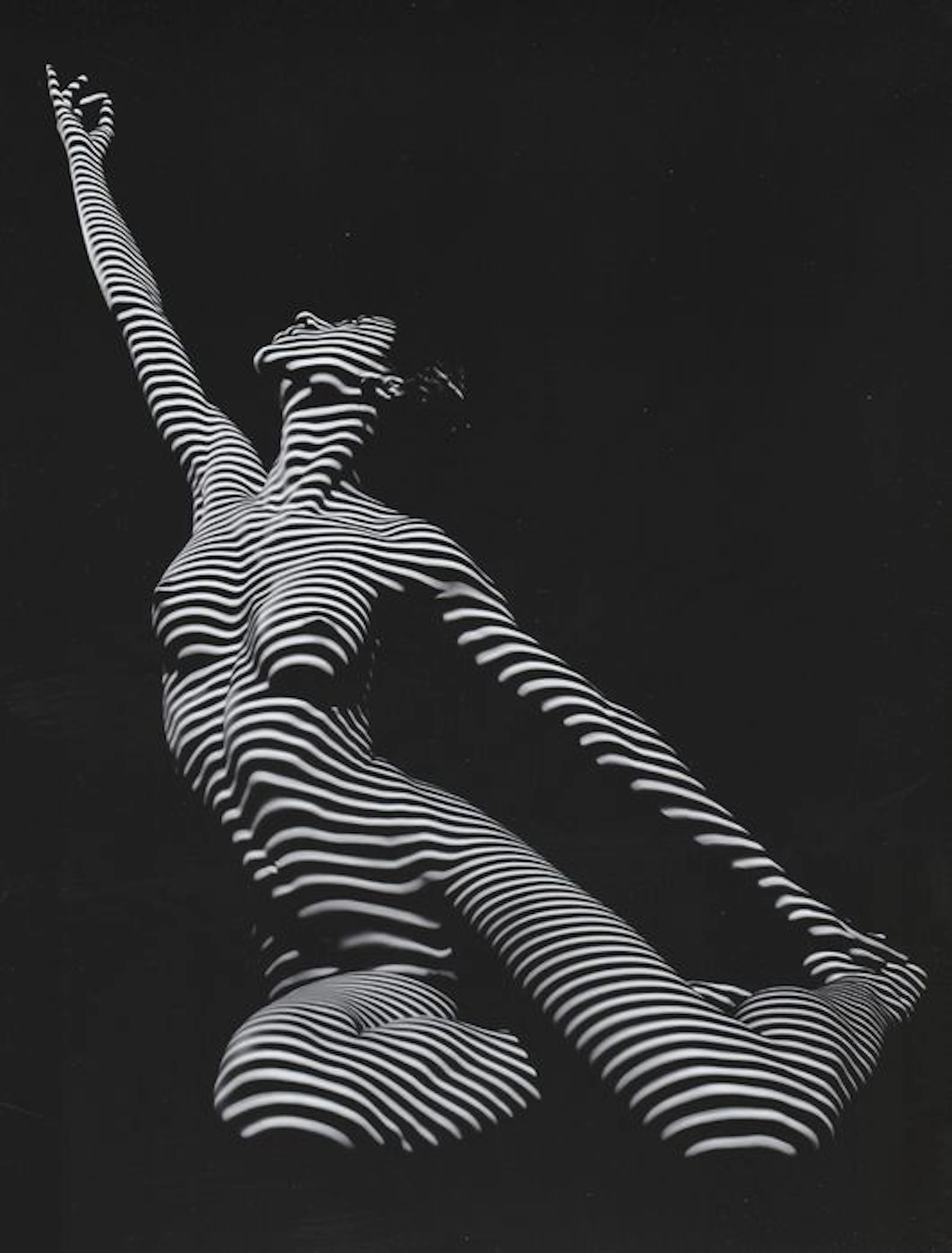 Photo; Chris Maher - Beautiful Zebra Woman Sensual Side Stretch - 2016