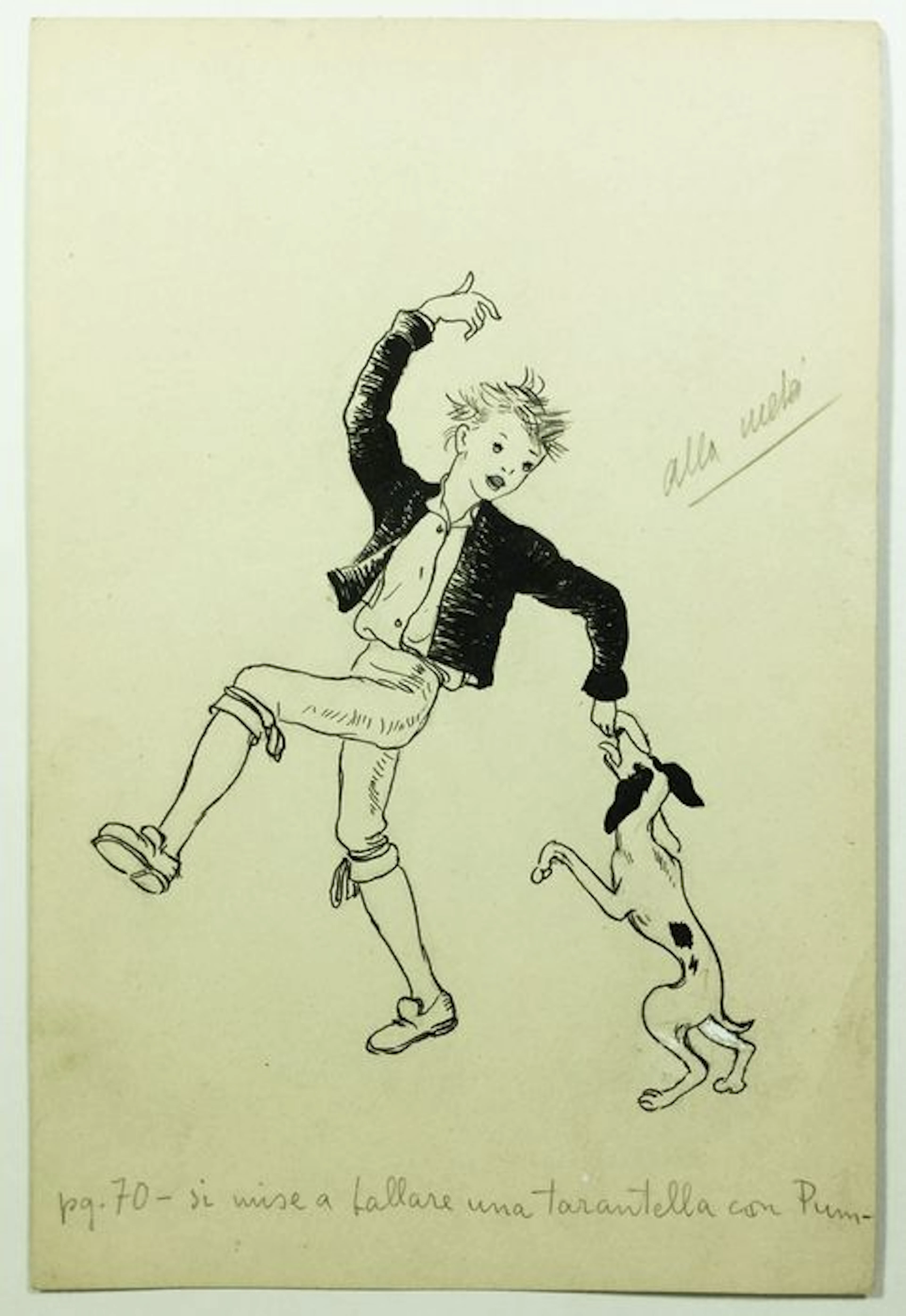 Altara, Edina - illustration "Cicognino"