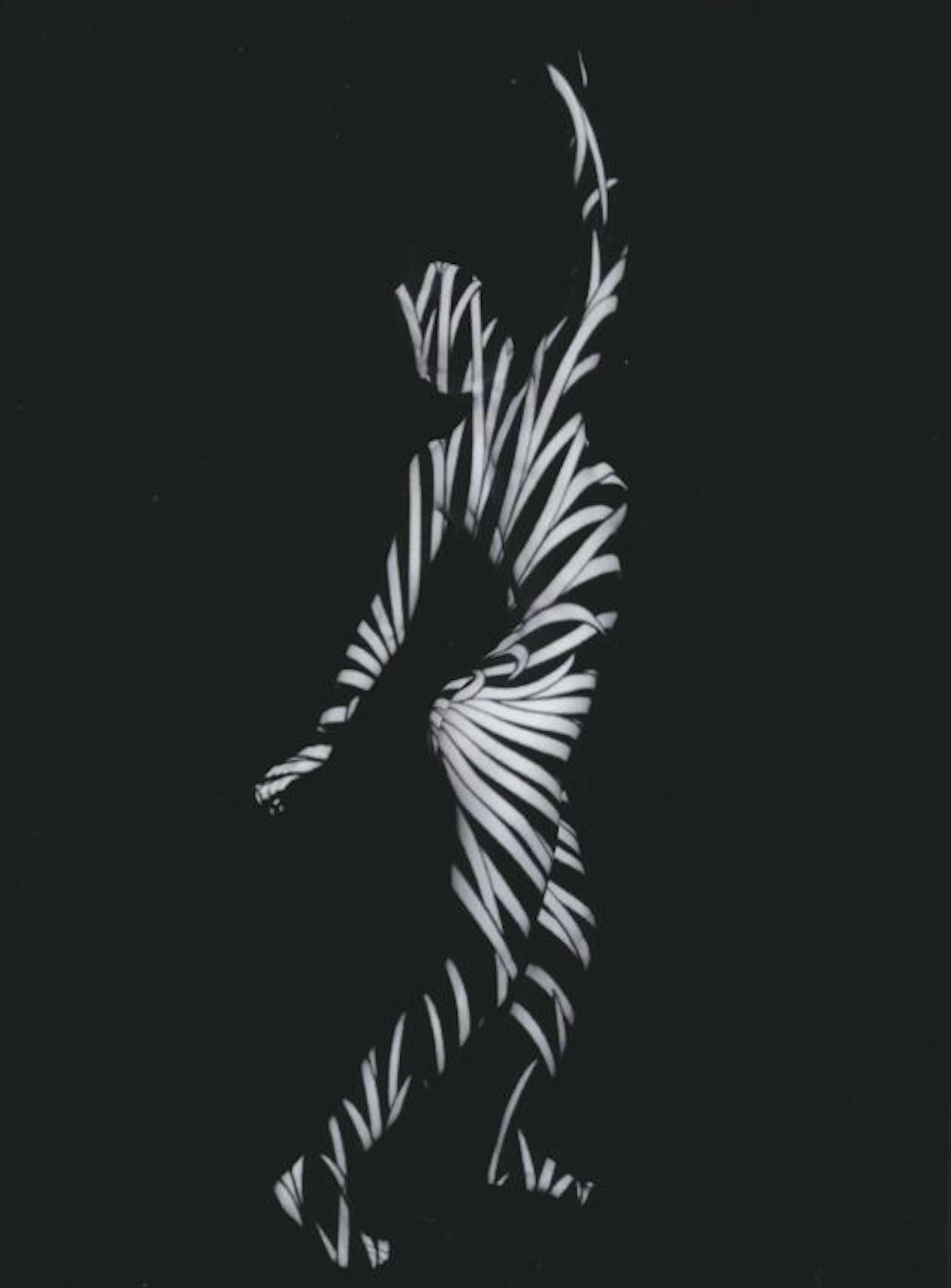 Photo; Chris Maher - Zebra Striped Woman Abstract - 2016