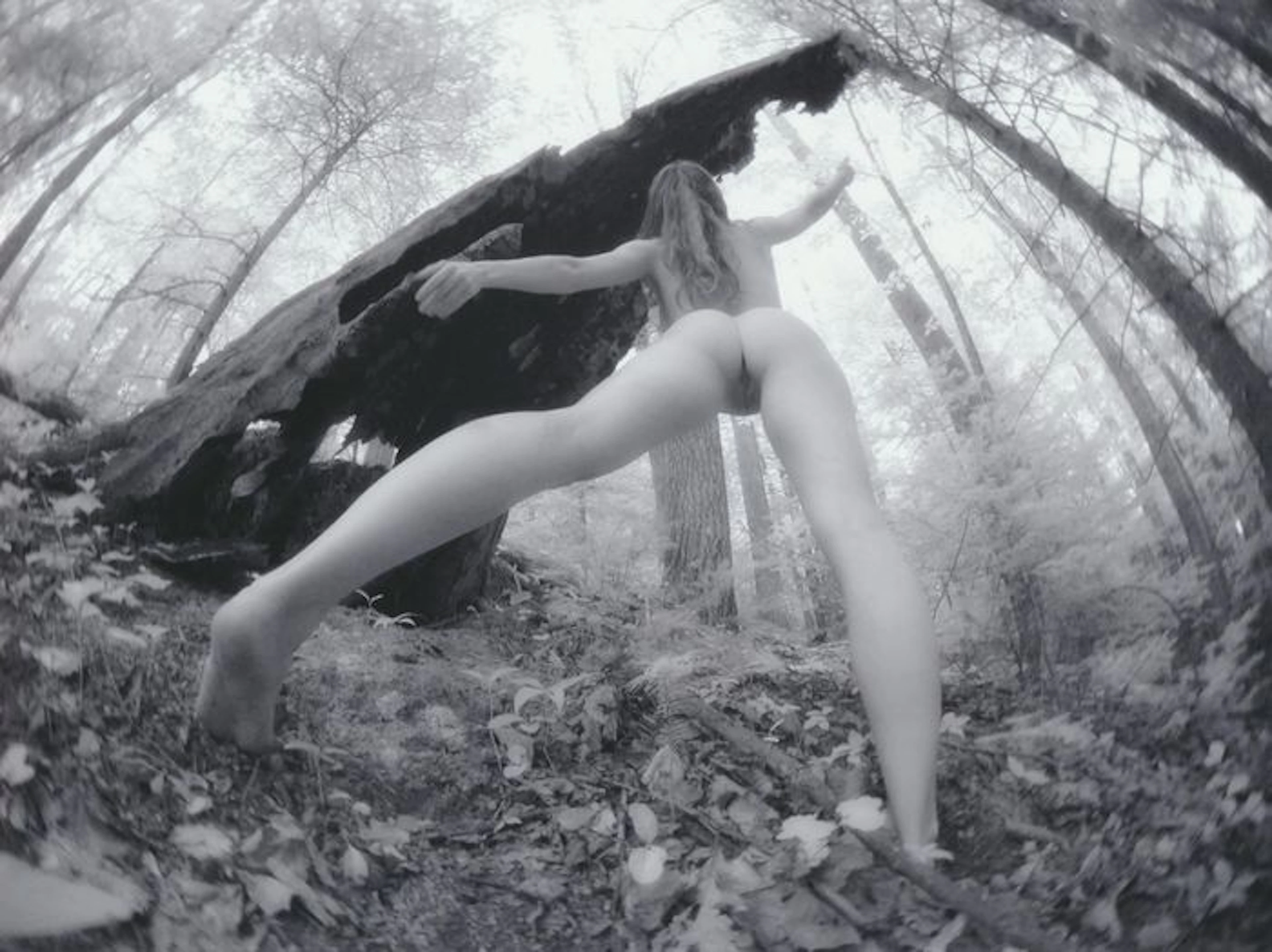 Photo; Chris Maher - Strange Nude Distortion - 2017