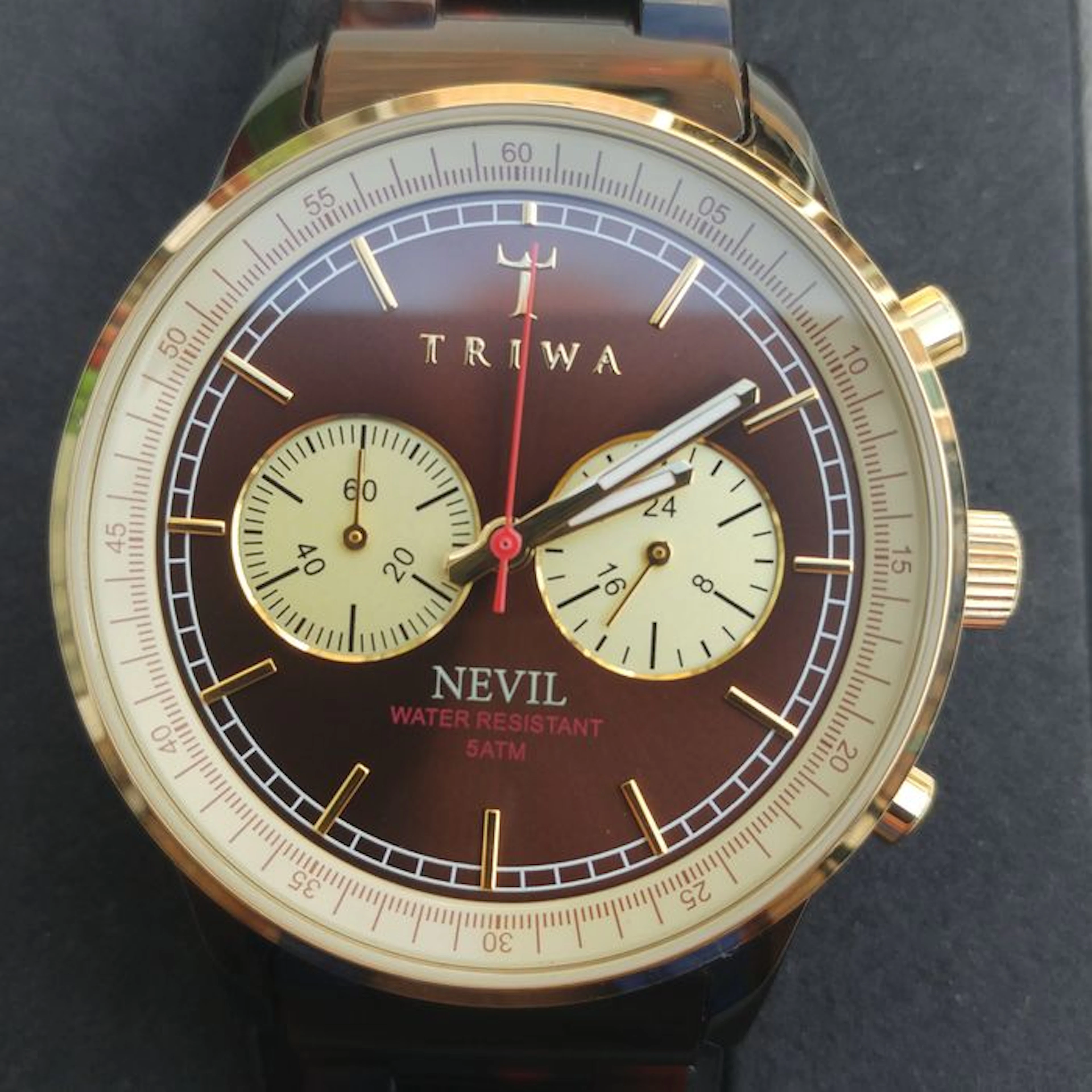 Triwa Turtle Nevil chronograph men's watch, Sweden