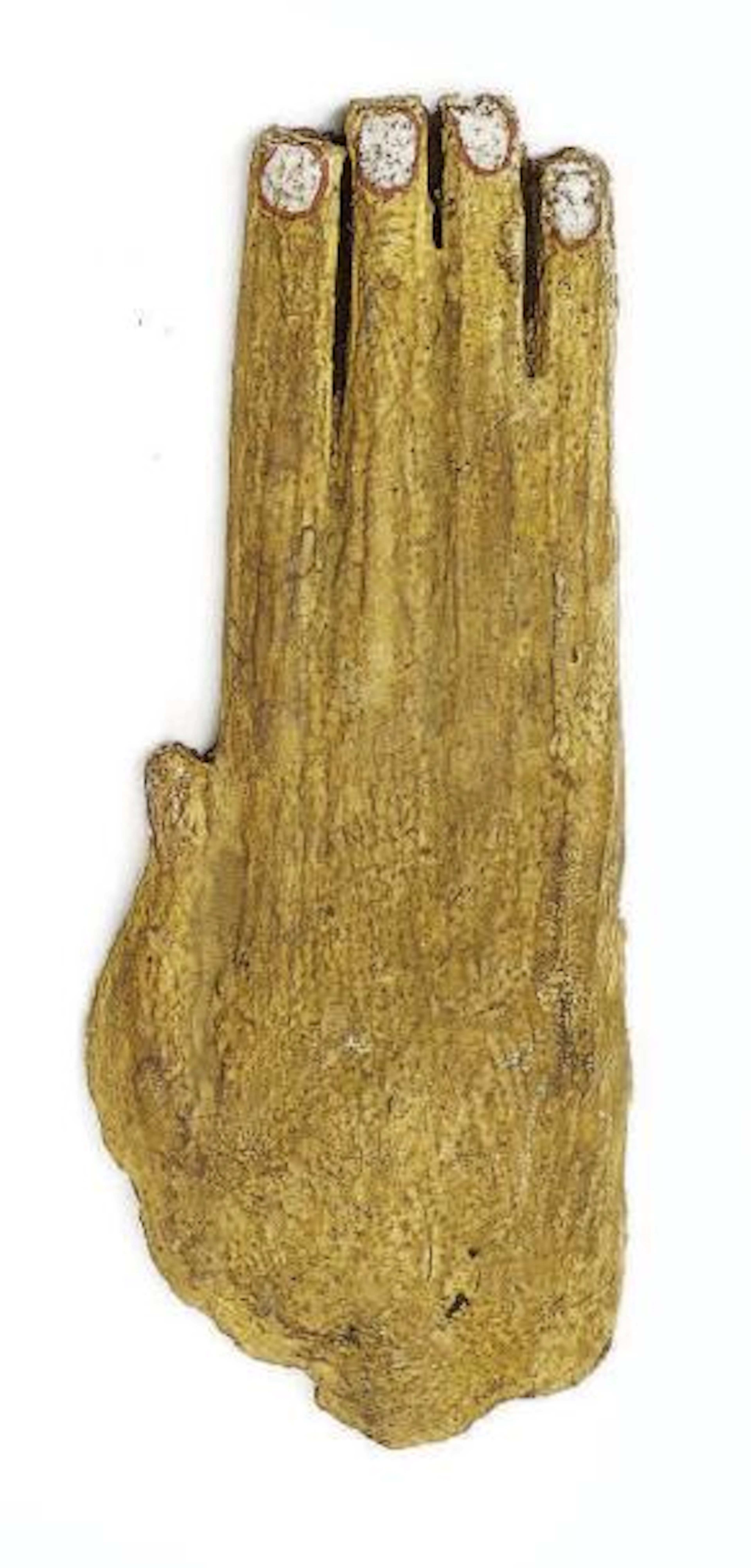 Main droite provenant d'un sarcophage