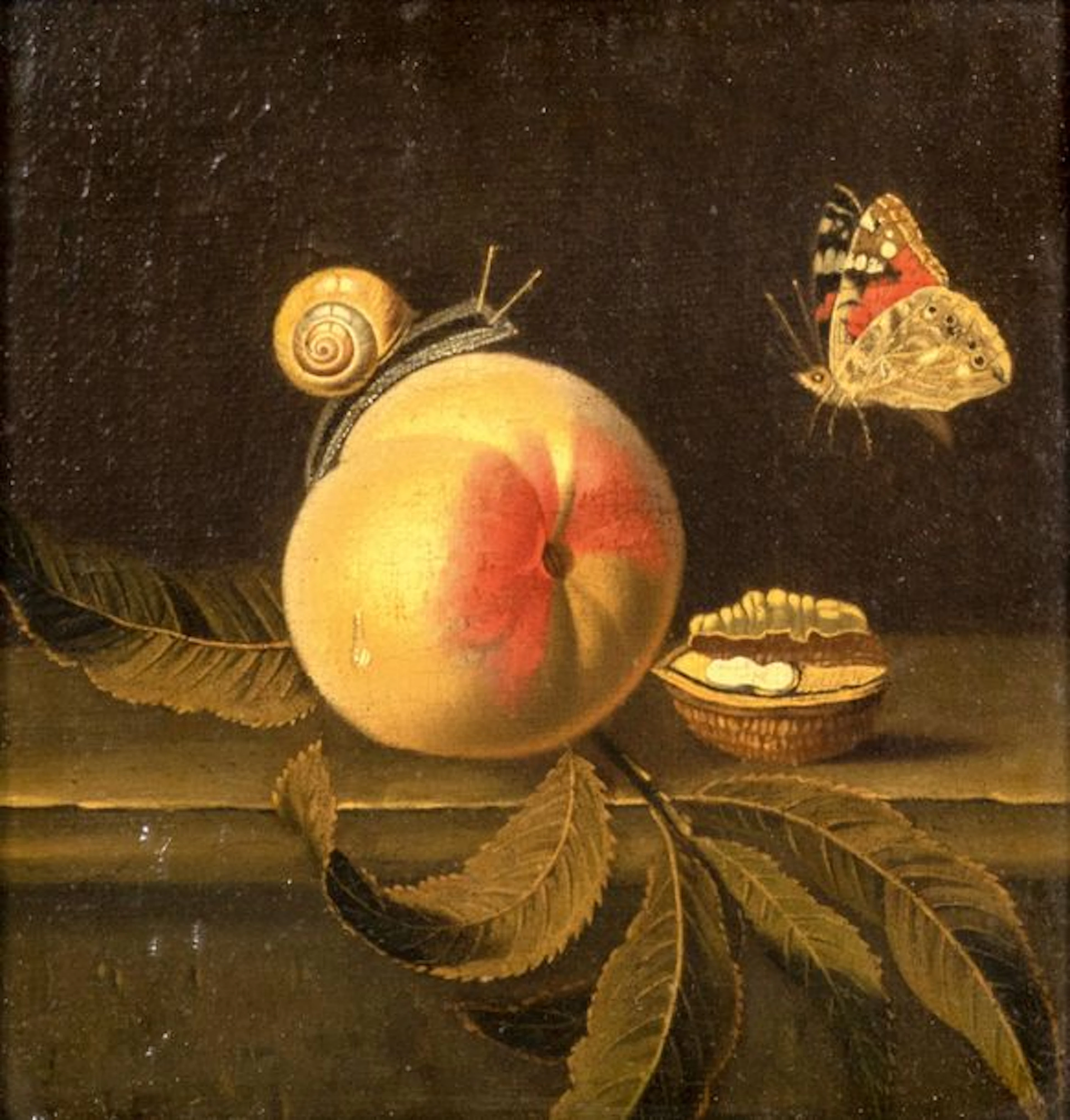 Attribué à Adriaen COORTE (Middelbourg 1665 - 1707)
