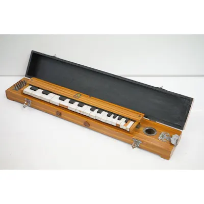 Giansco Bulbul Tarang Indian instrument, with hinged lid, ma... | Barnebys
