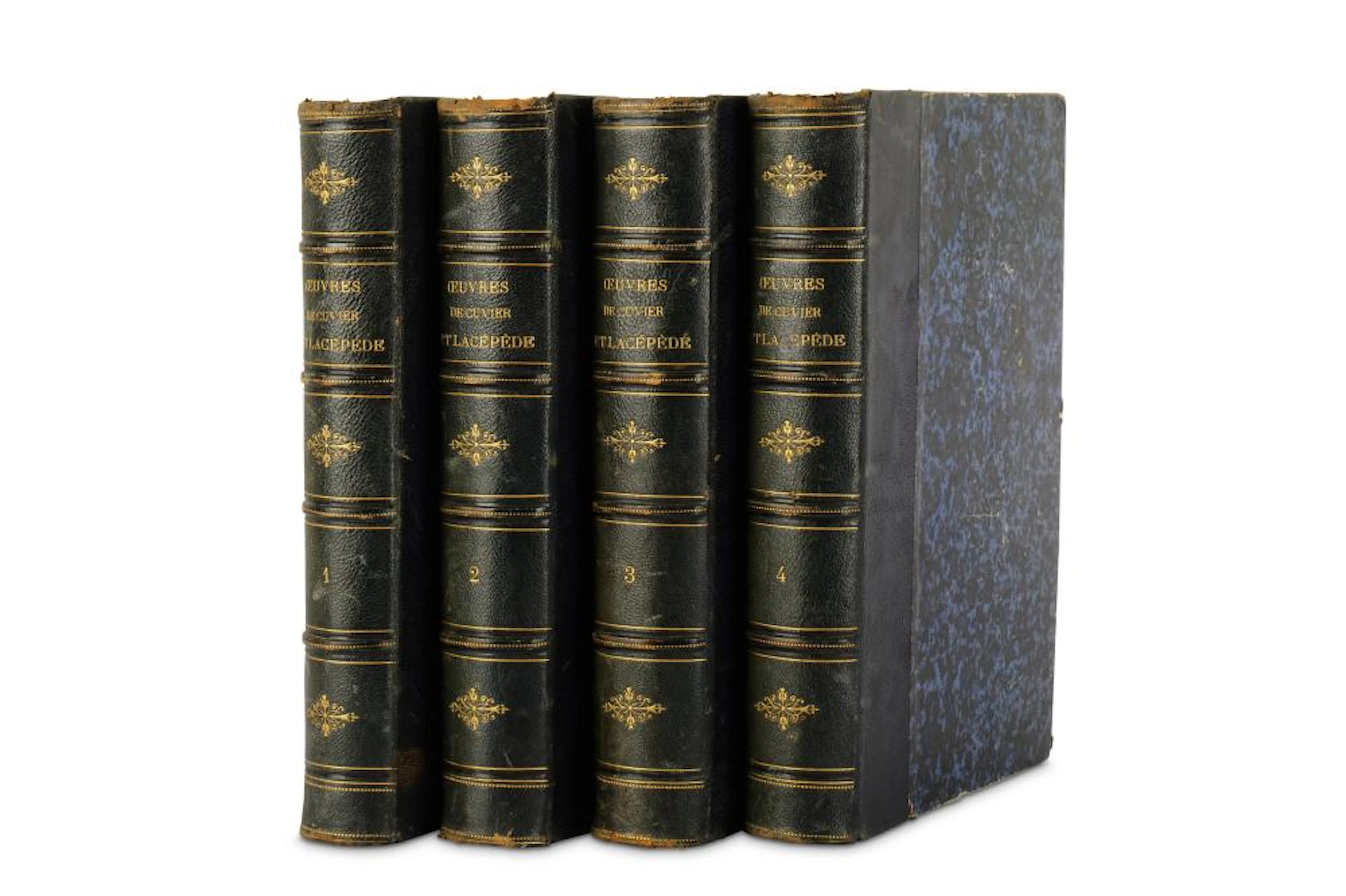 Natural History.- Flourens, [M. J. P.] [Buffon, Cuvier and De Lacépède]