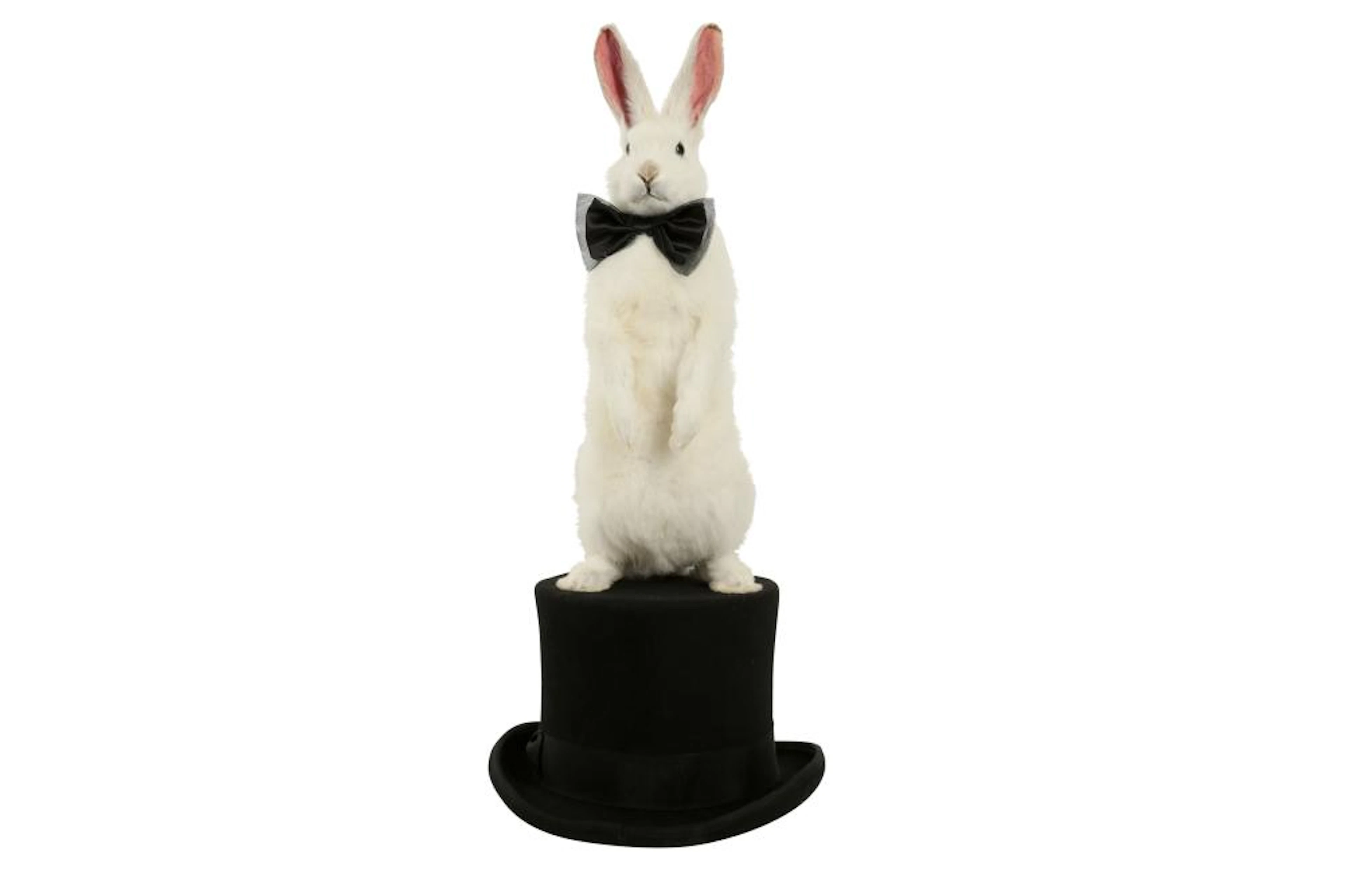 TAXIDERMY: WHITE RABBIT WEARING BOW TIE ON TOP HAT