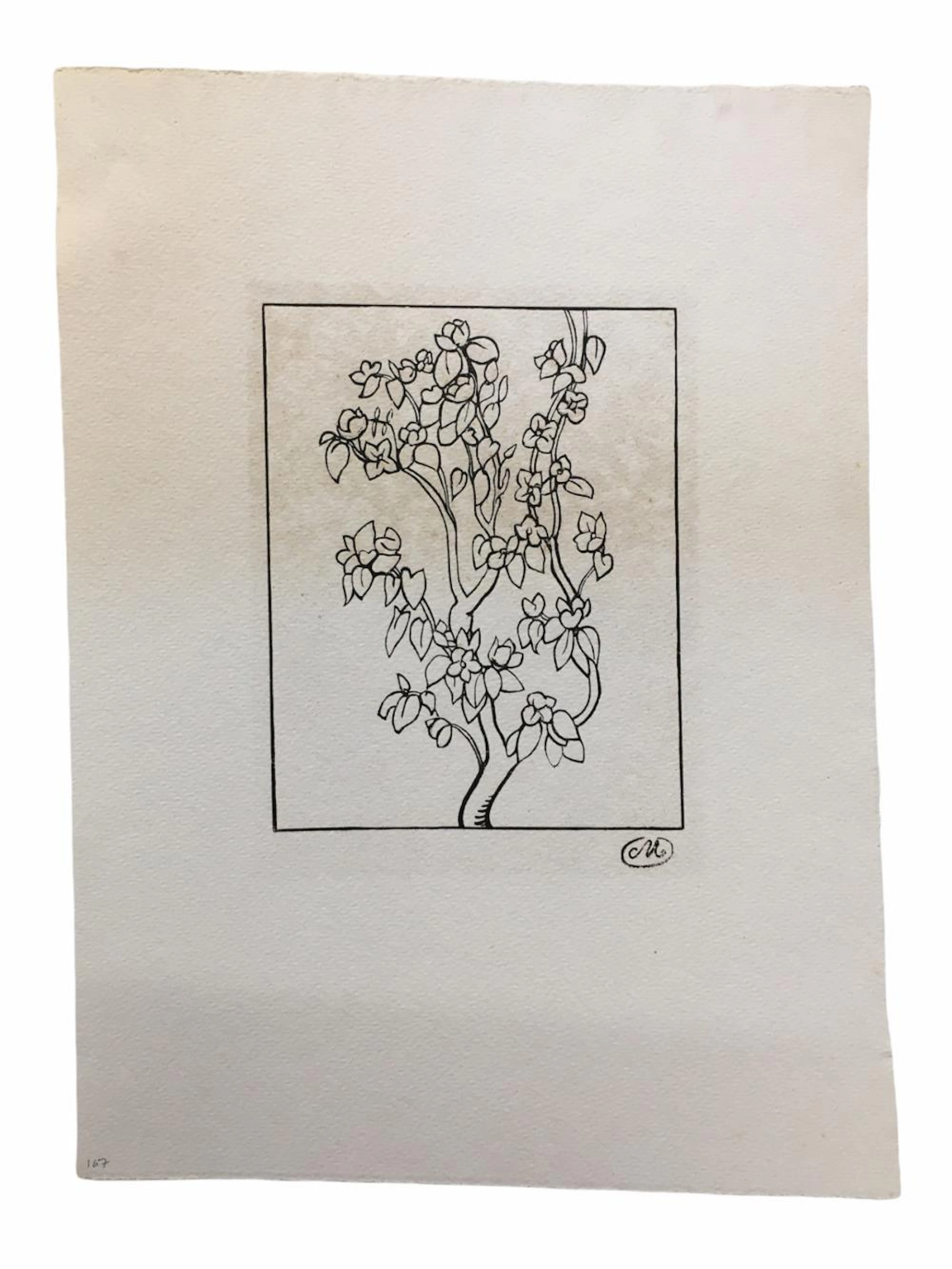 Illustration.- Maillol (Aristide)