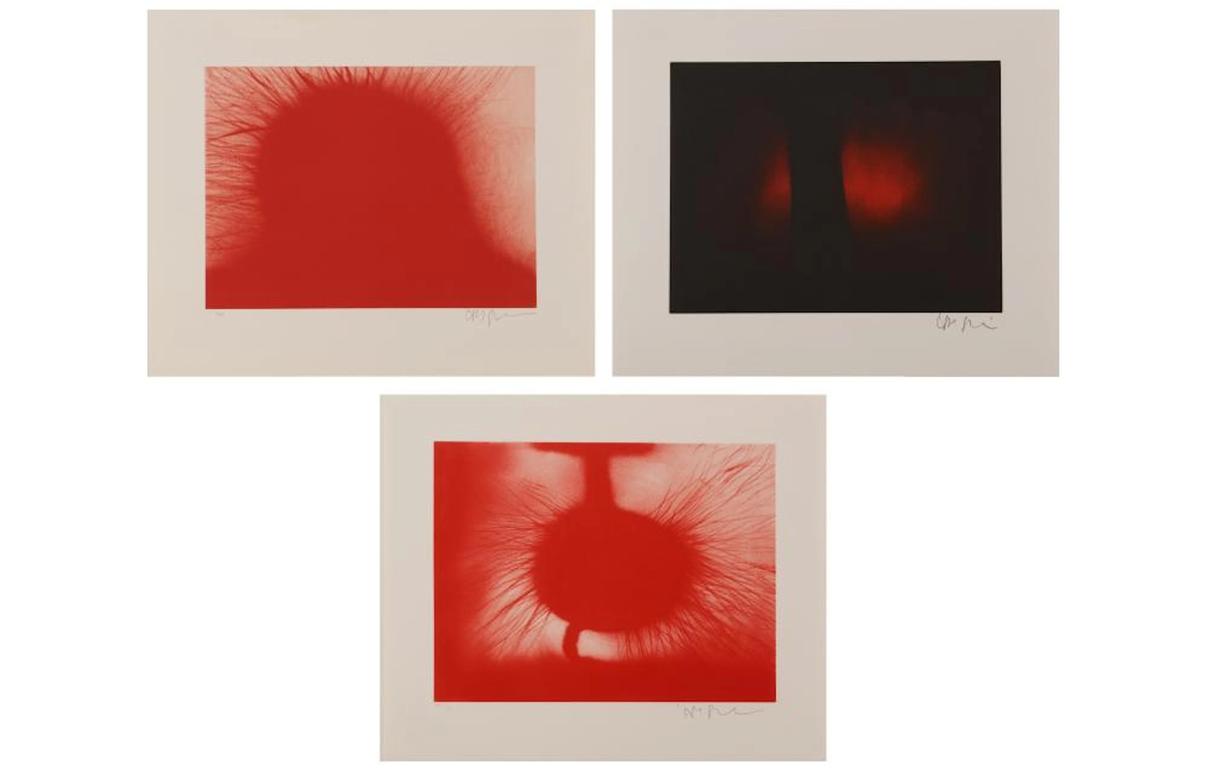§ ANISH KAPOOR (BRITISH/INDIAN B.1954)