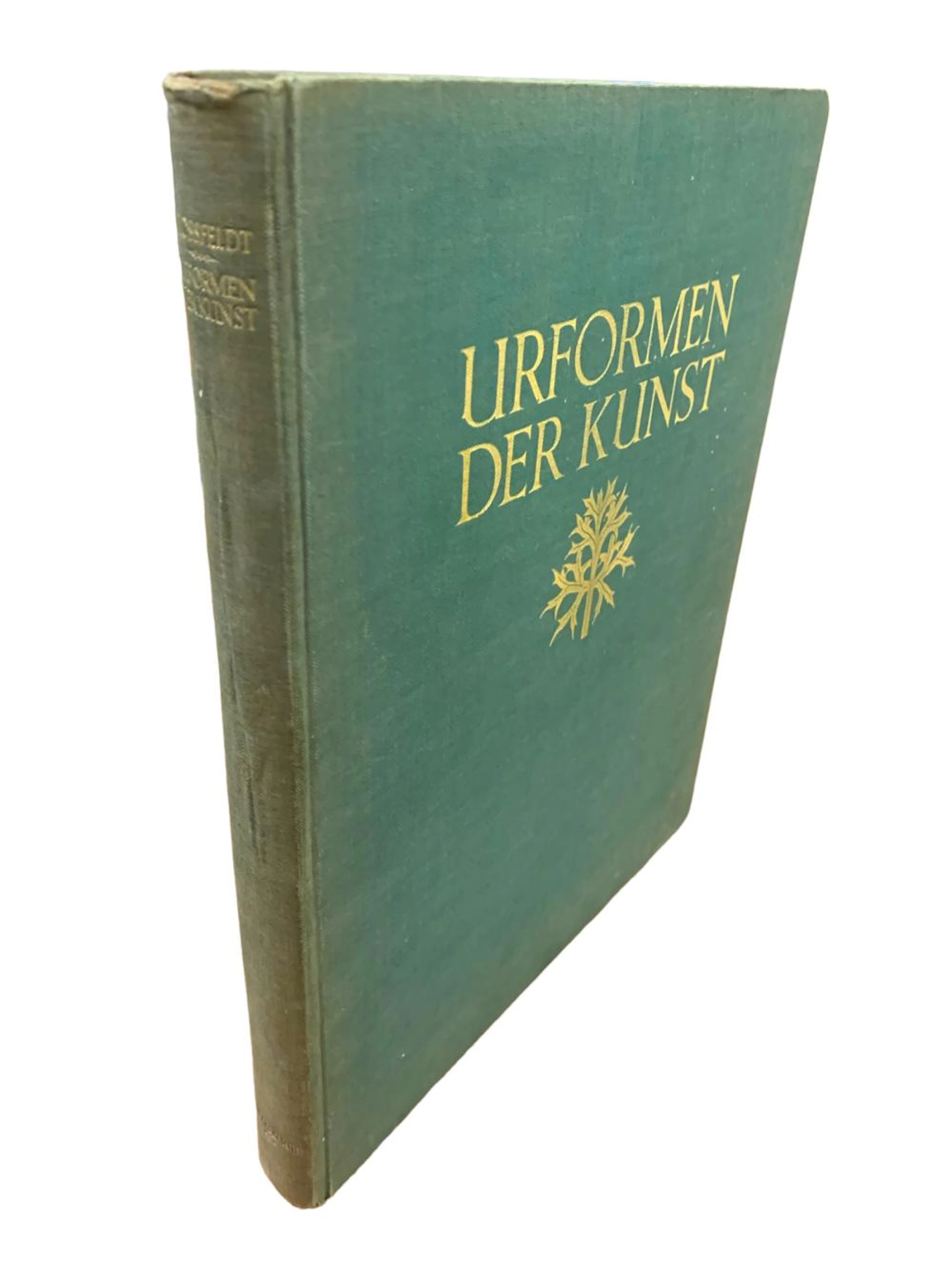 Blossfeldt (Karl) Urformen der Kunst. Photographische Pflanzenbilder