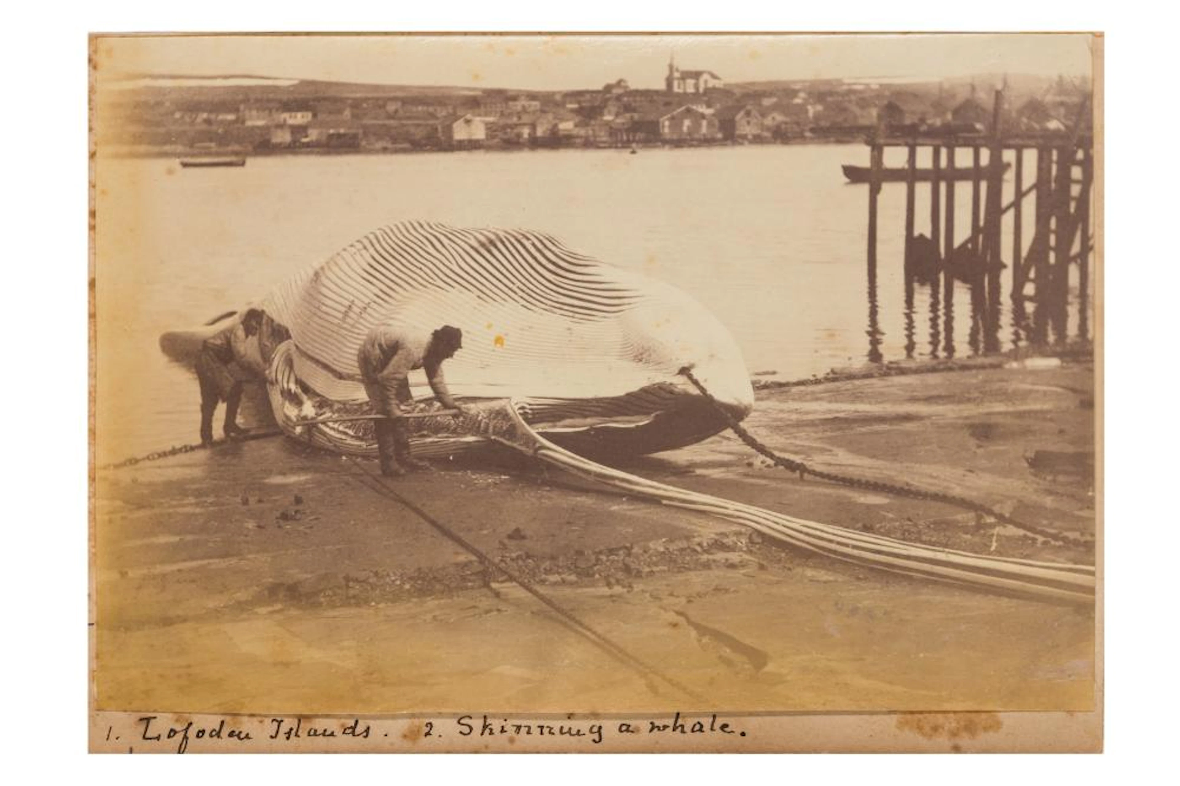 Photographer Unknown, c.1890s