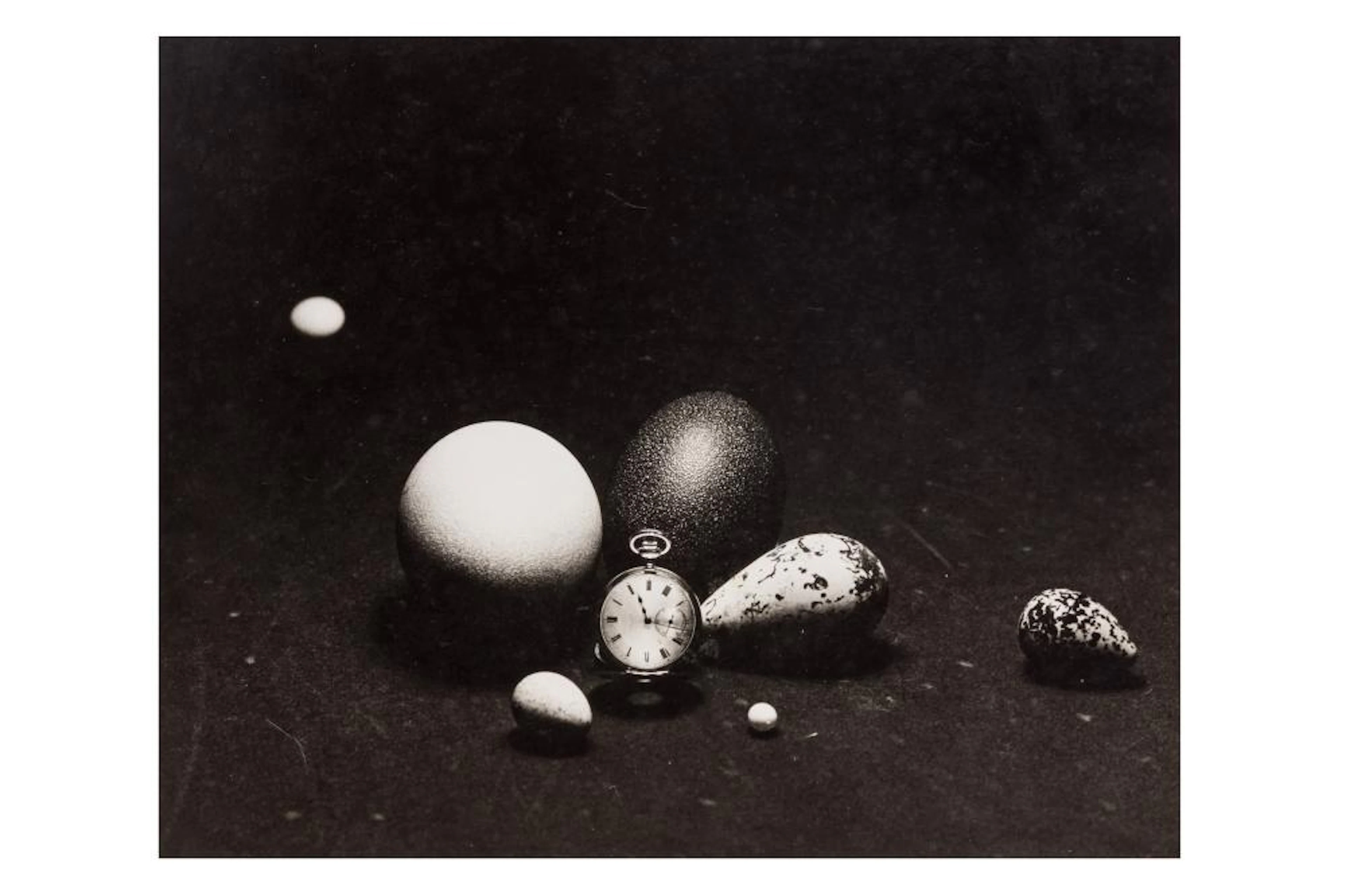 § Patrick Lichfield (1939-2005)