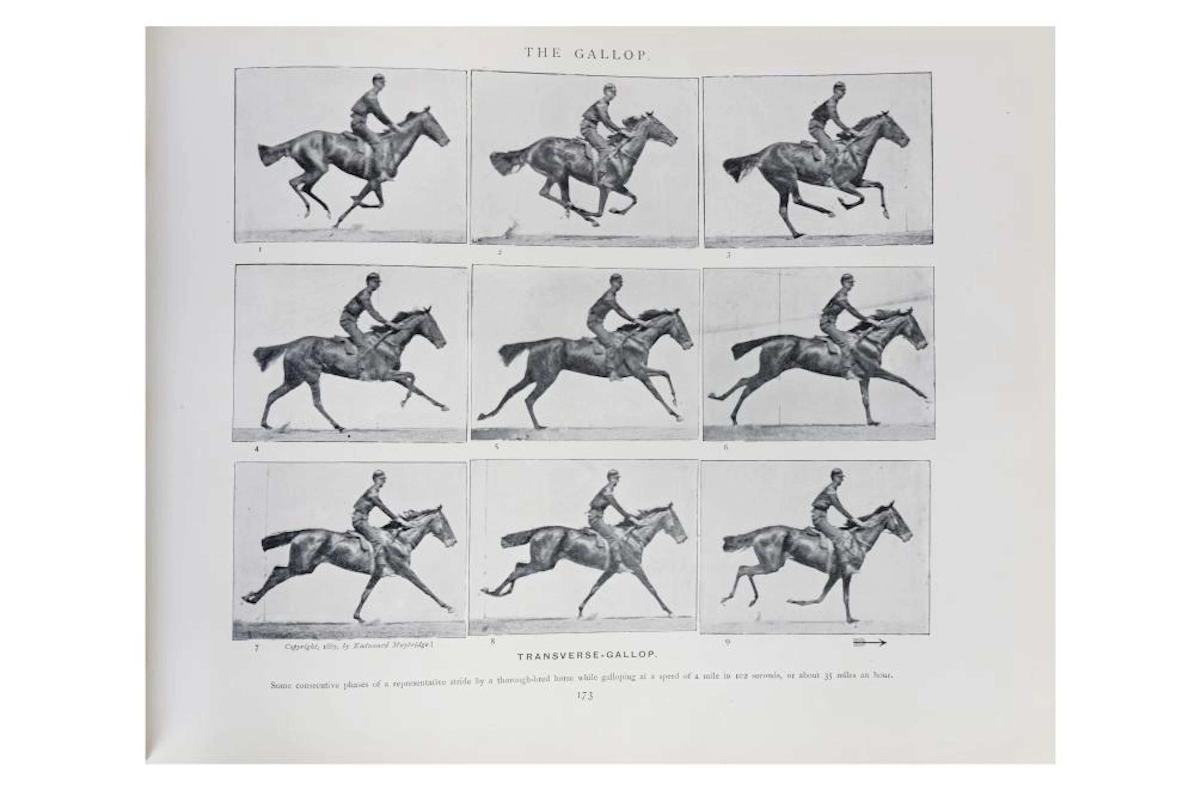 Eadweard Muybridge (1830-1904)