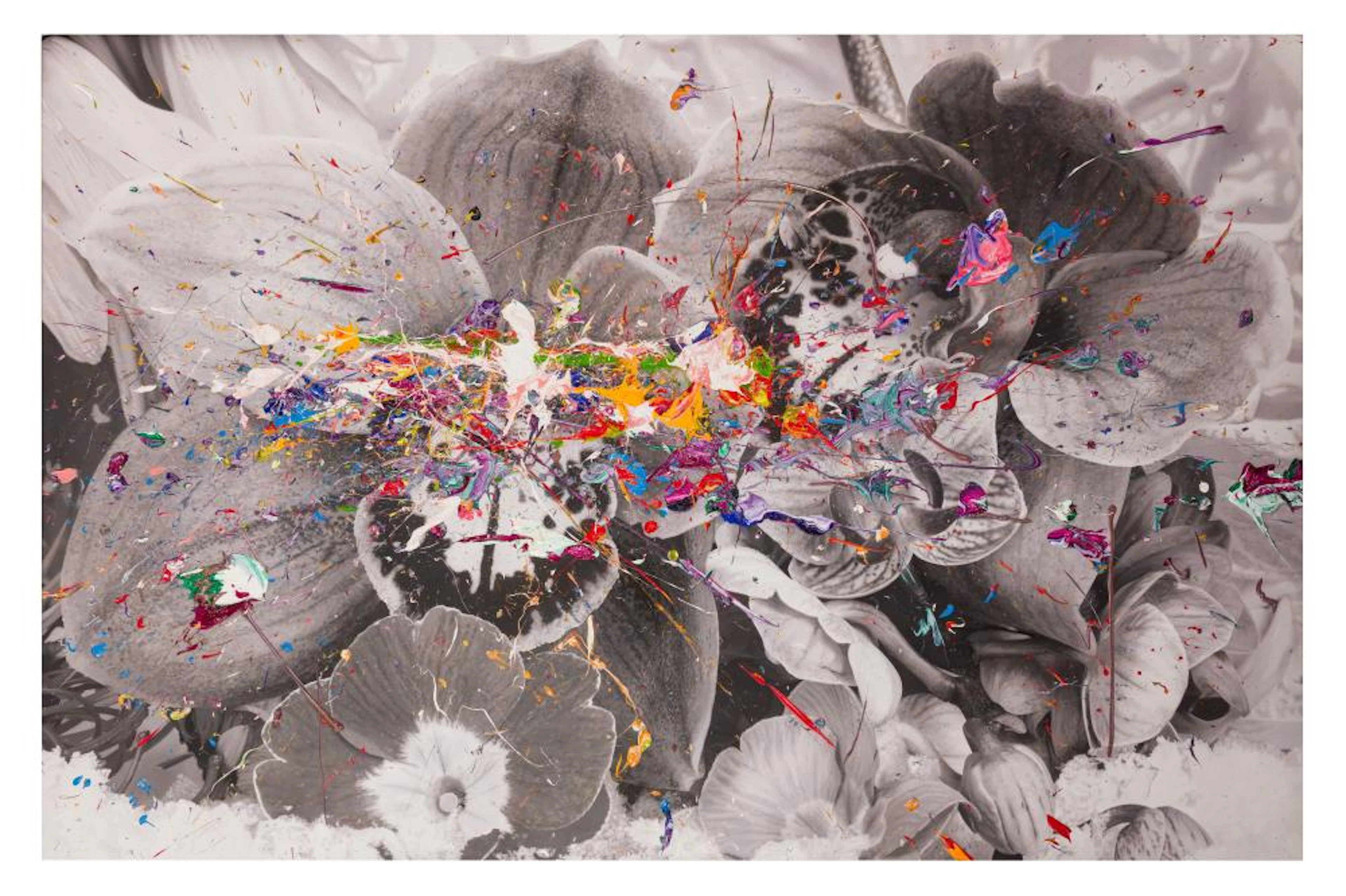 § MARC QUINN (BRITISH, b.1964)