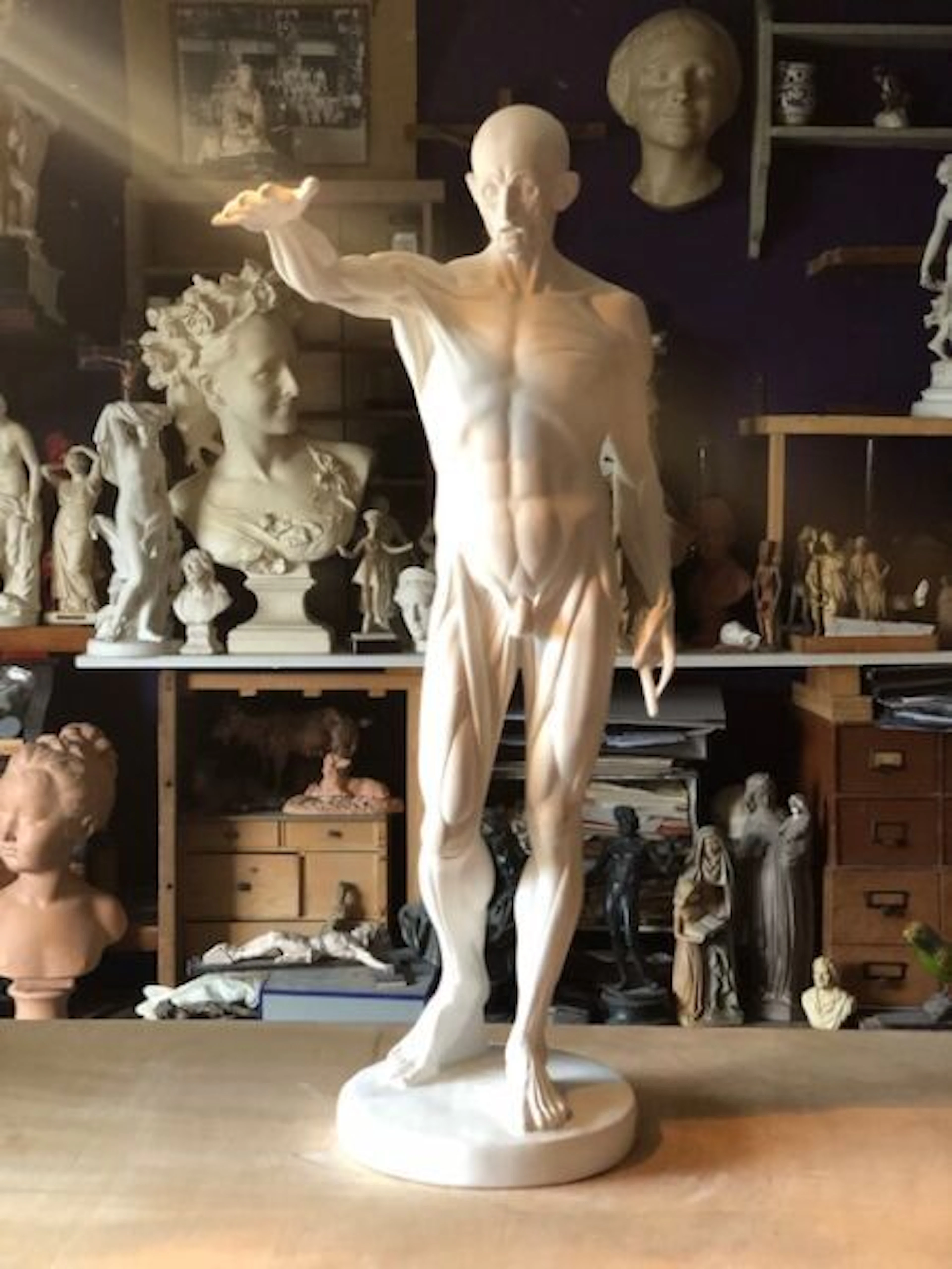 After Jean Antoine HOUDON. Flayed right... - Lot 184 - Kâ-Mondo
