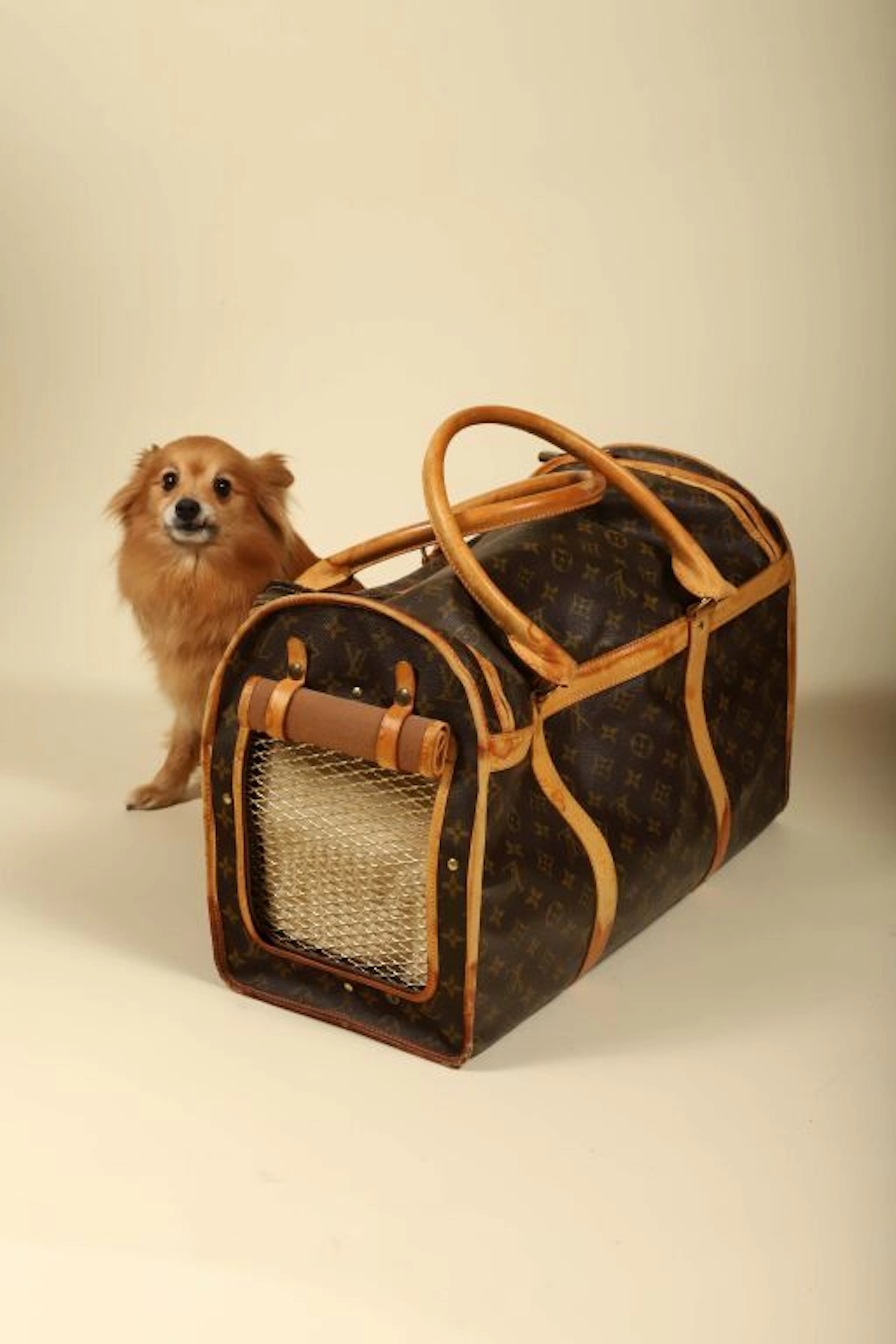 * LOUIS VUITTON. 50 dog carrier bag, rigid... - Lot 292 - Kâ-Mondo