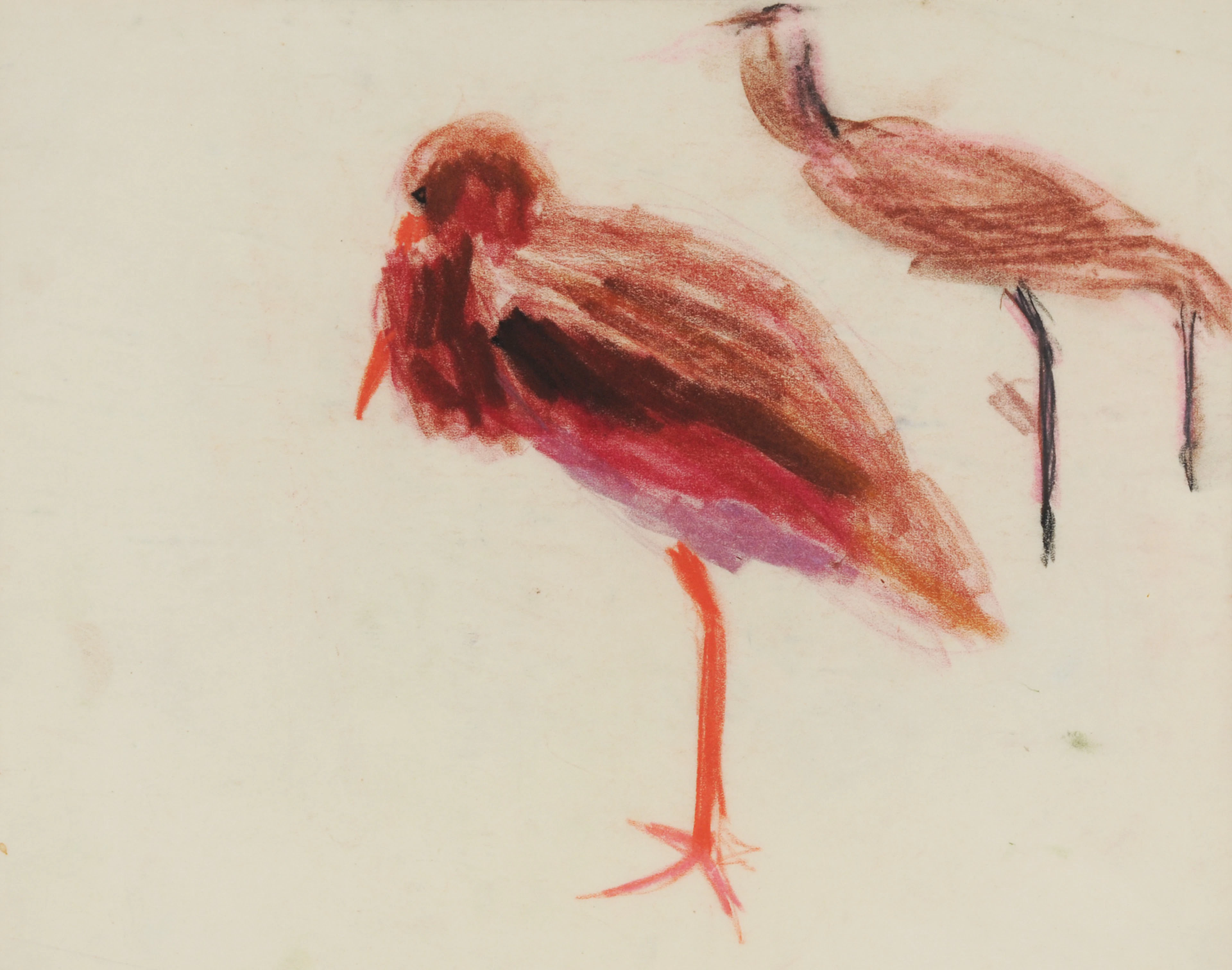 Marabu, 1914 Louis Moilliet, 1880-1962 (CH)