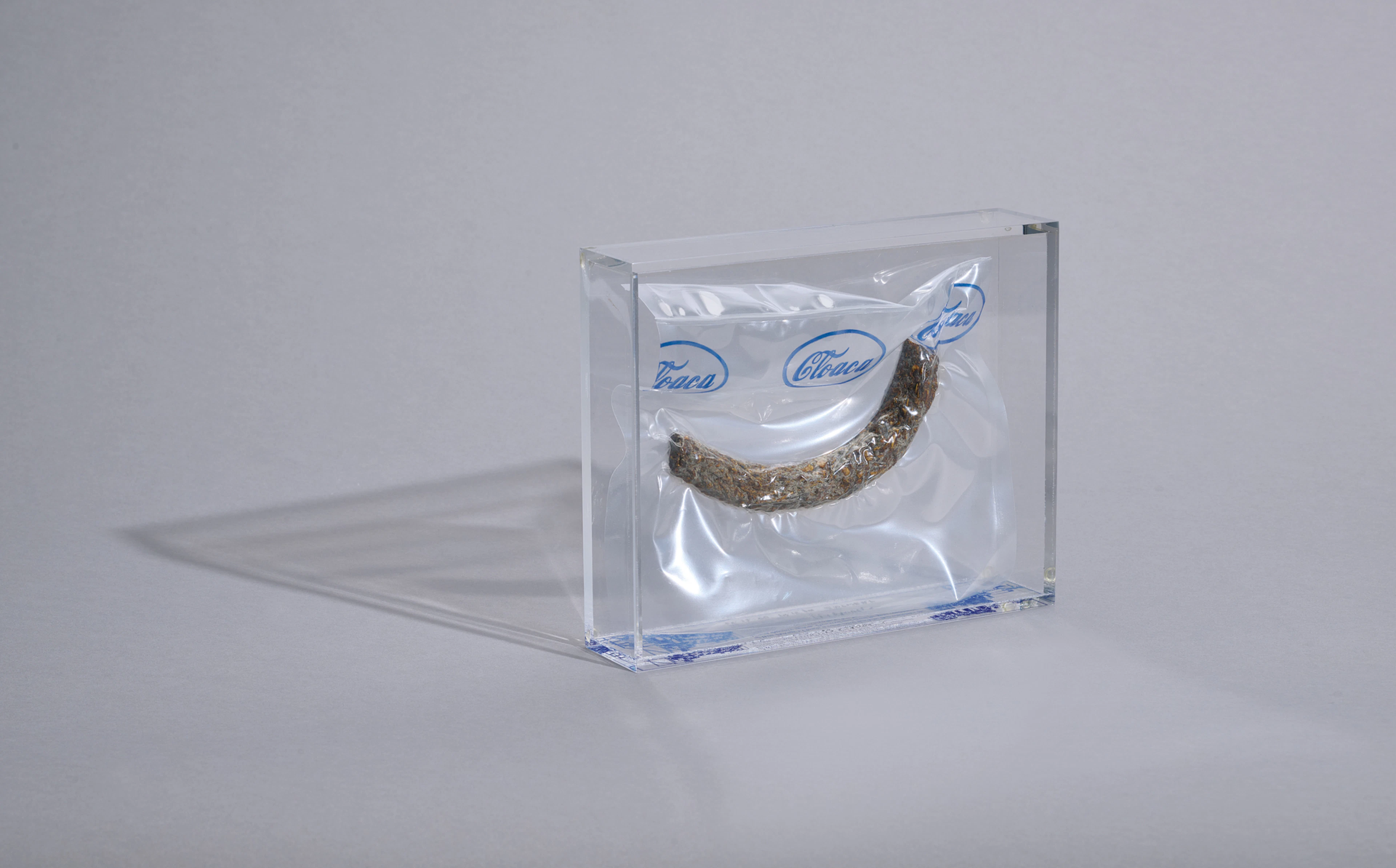 Cloaca Cyber Faeces, 2000 Wim Delvoye, 1965 (BE)
