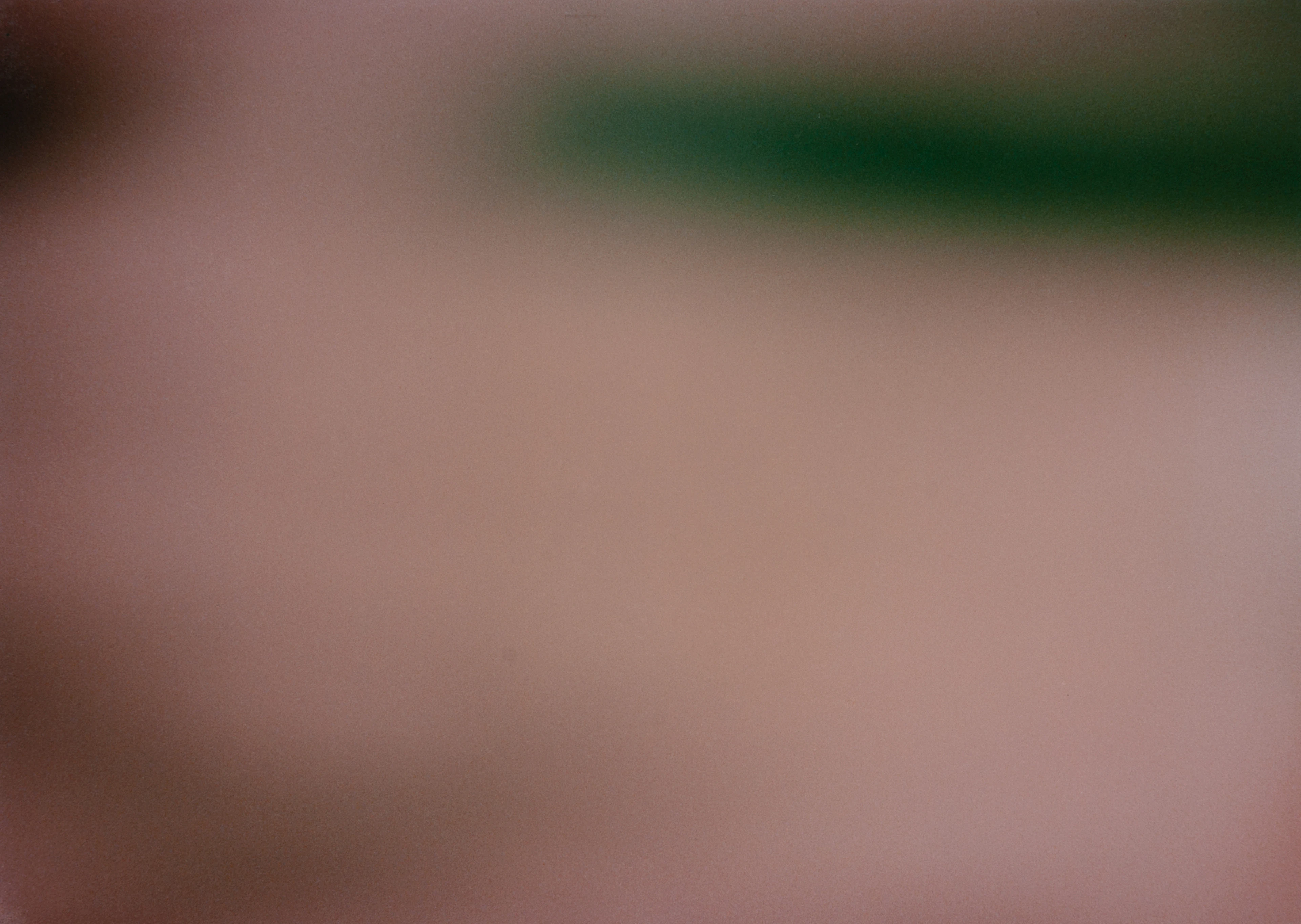 2 works: Untitled, 1995 Adrian Schiess, 1959 (CH)