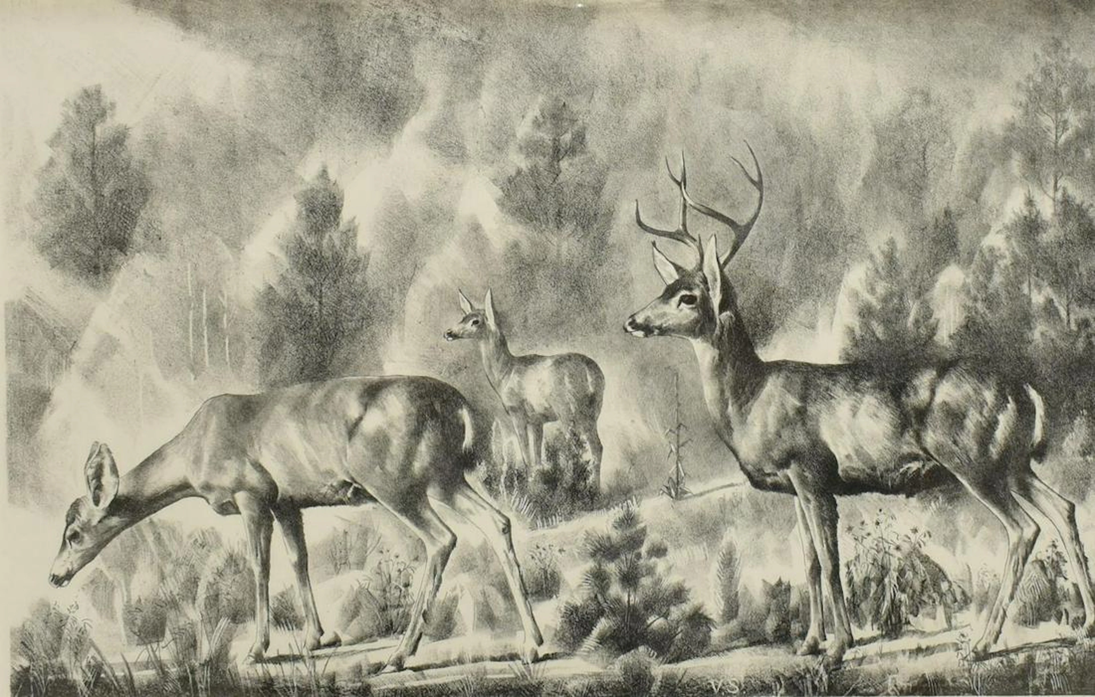 Theodore van soelen (d.1964) deer lithograph