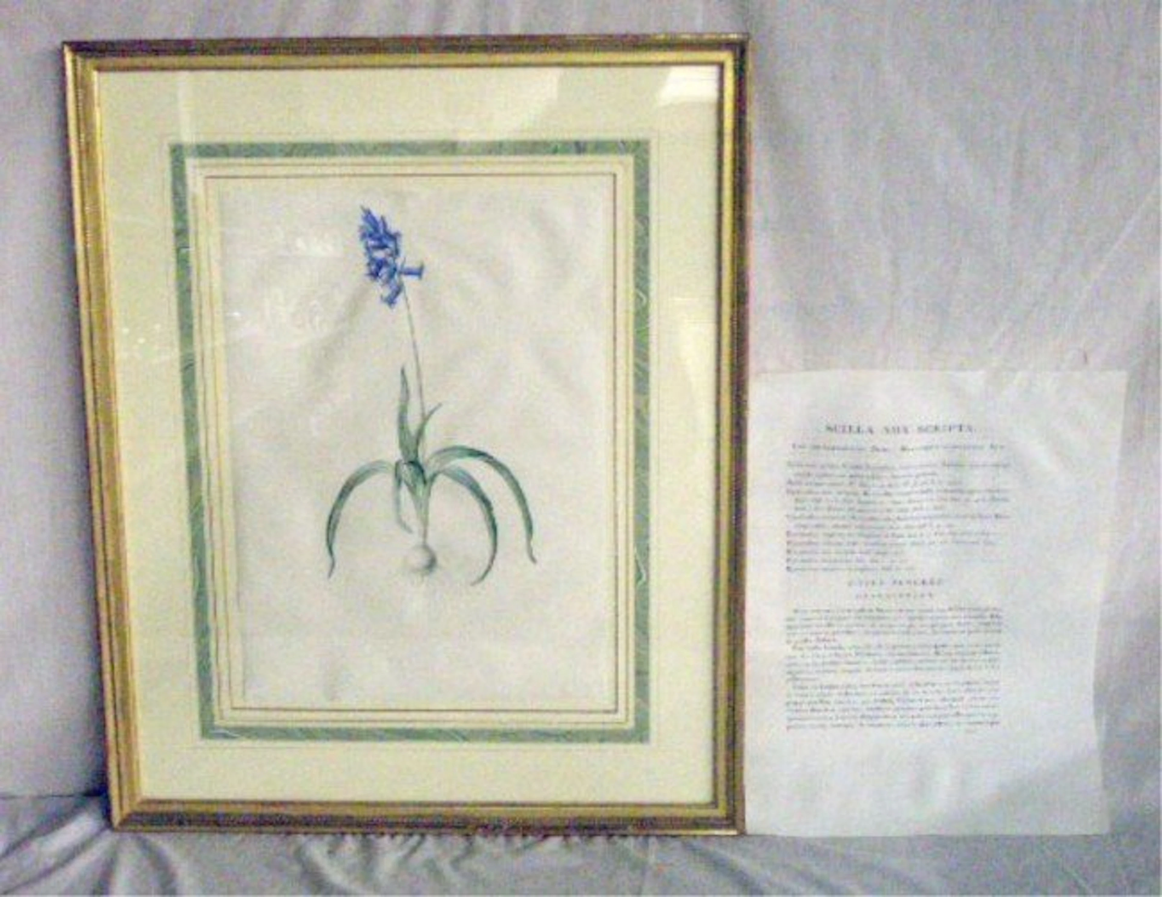 1175: P.J. Redoute Watercolor On Vellum
