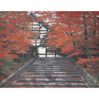 紅樹髙彩 (Autumn Color) 澁澤 卿 (Kei Shibusawa)
