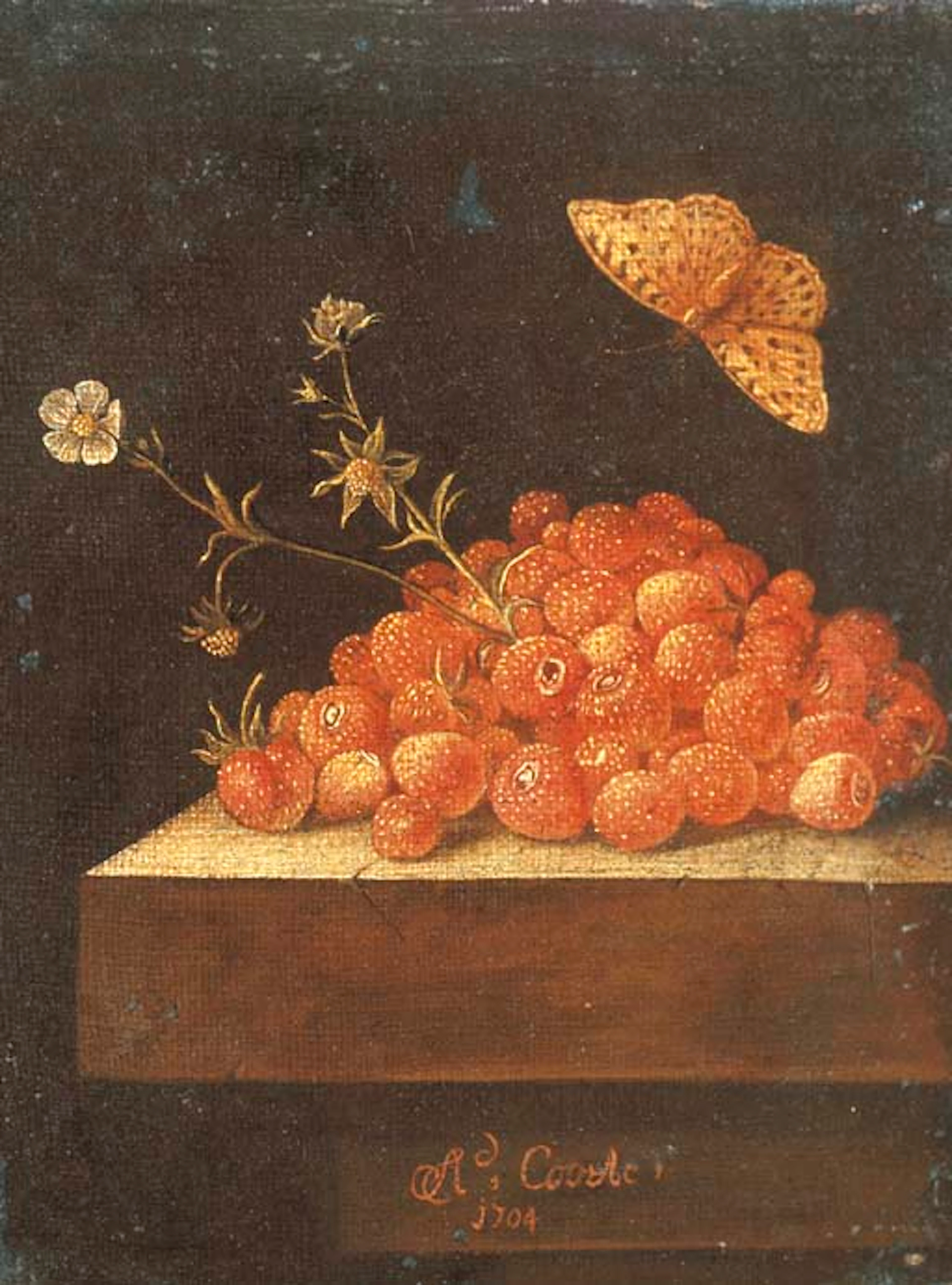 Adriaen Coorte (? Middelburg 1660?-after 1707)