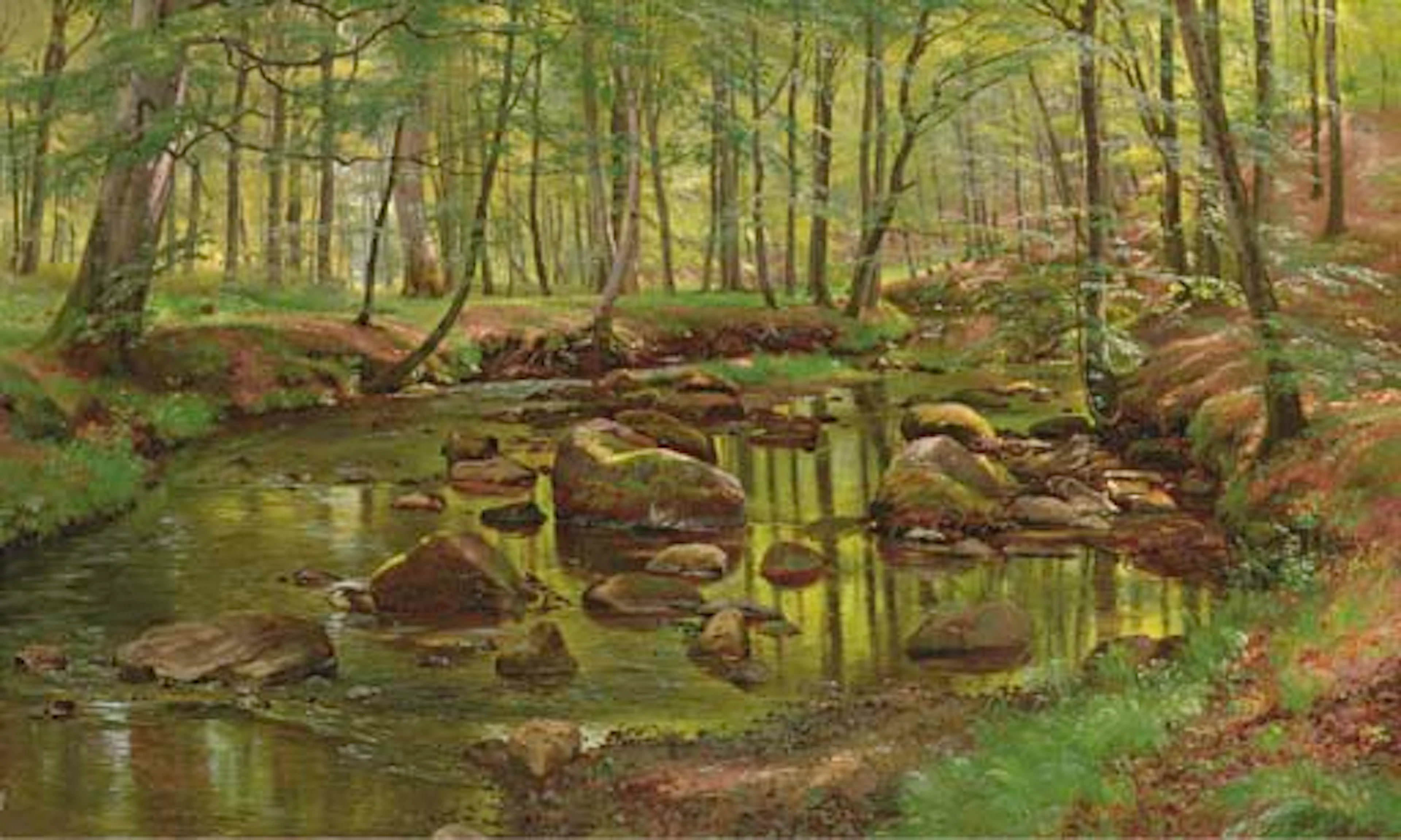 Mossy Rocks in a Stream