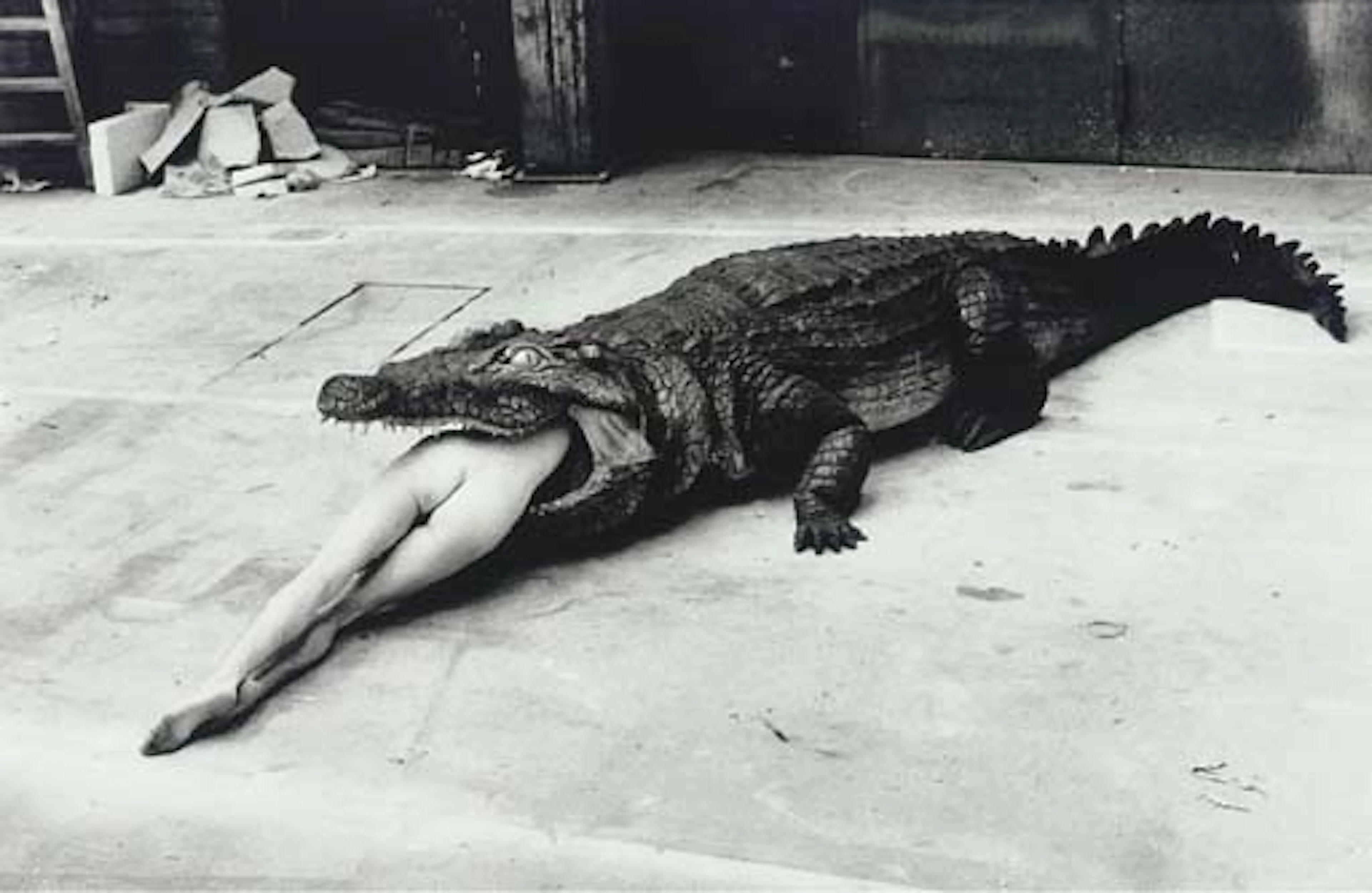 Crocodile Eating Ballerina, from the Pina Bausch Ballet 'Keushleitslegende', Wuppertal, 1983