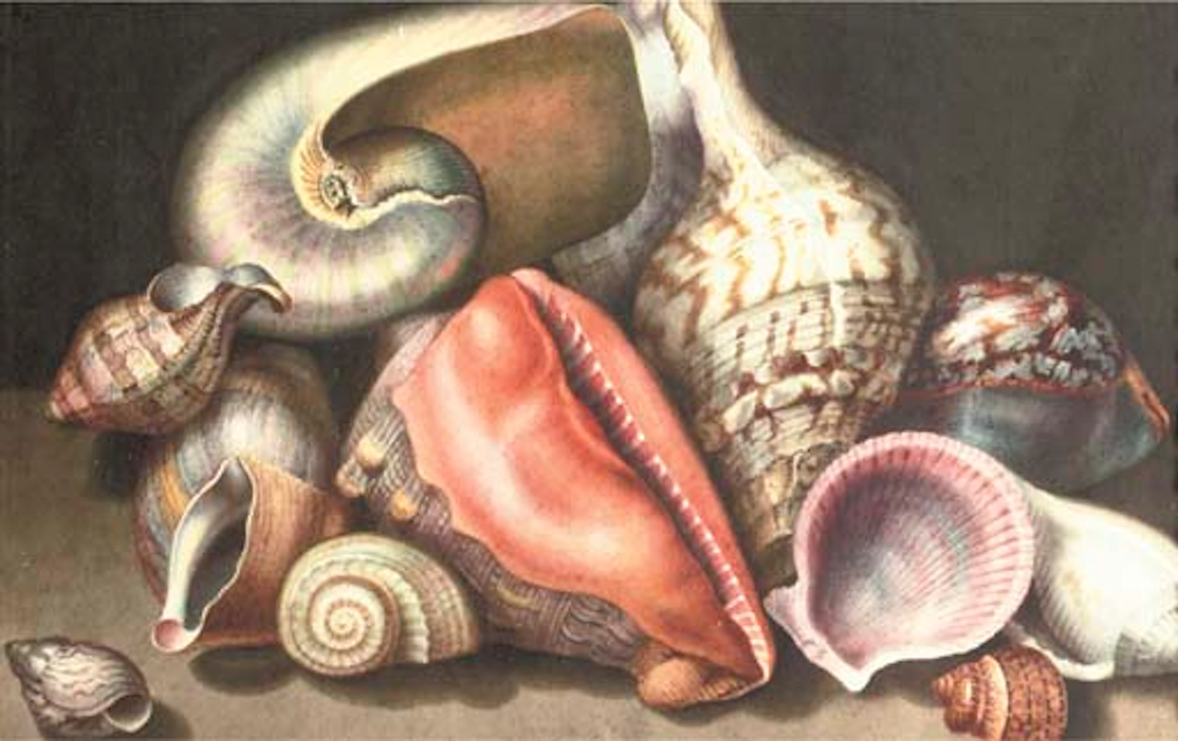 Follower of Giovanna Garzoni