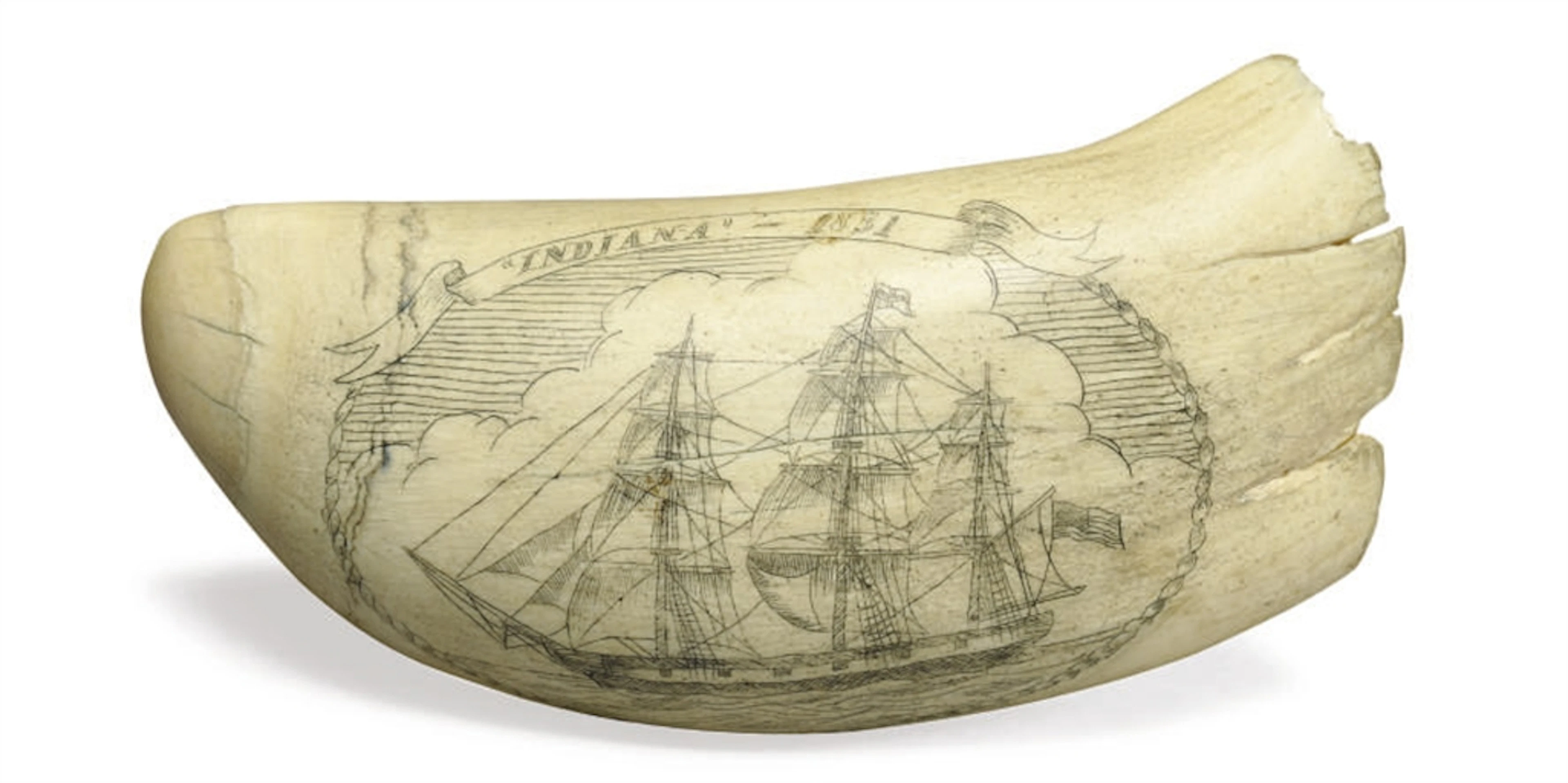 A scrimshaw whale's tooth with a ship**