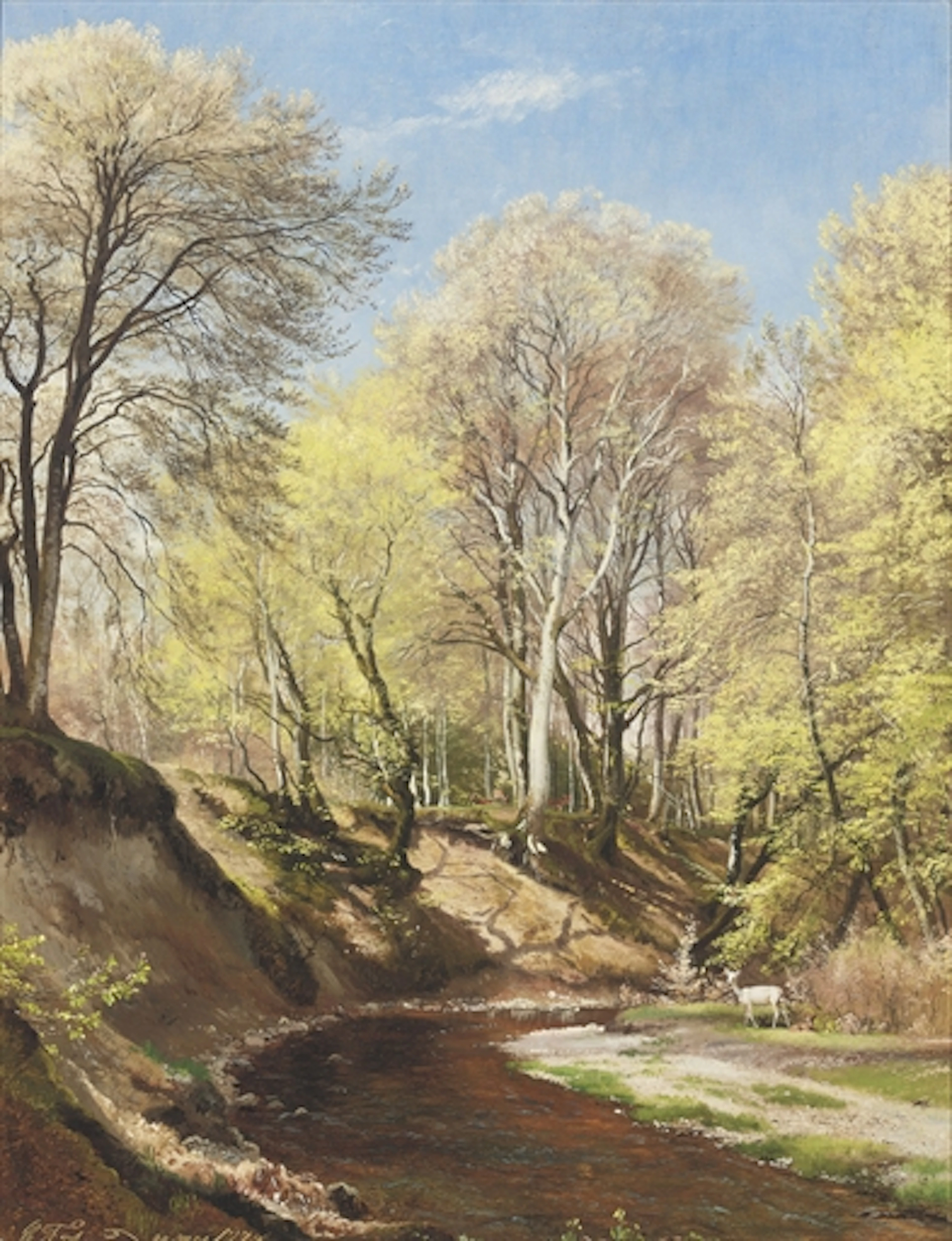 Deer at the bend of the river