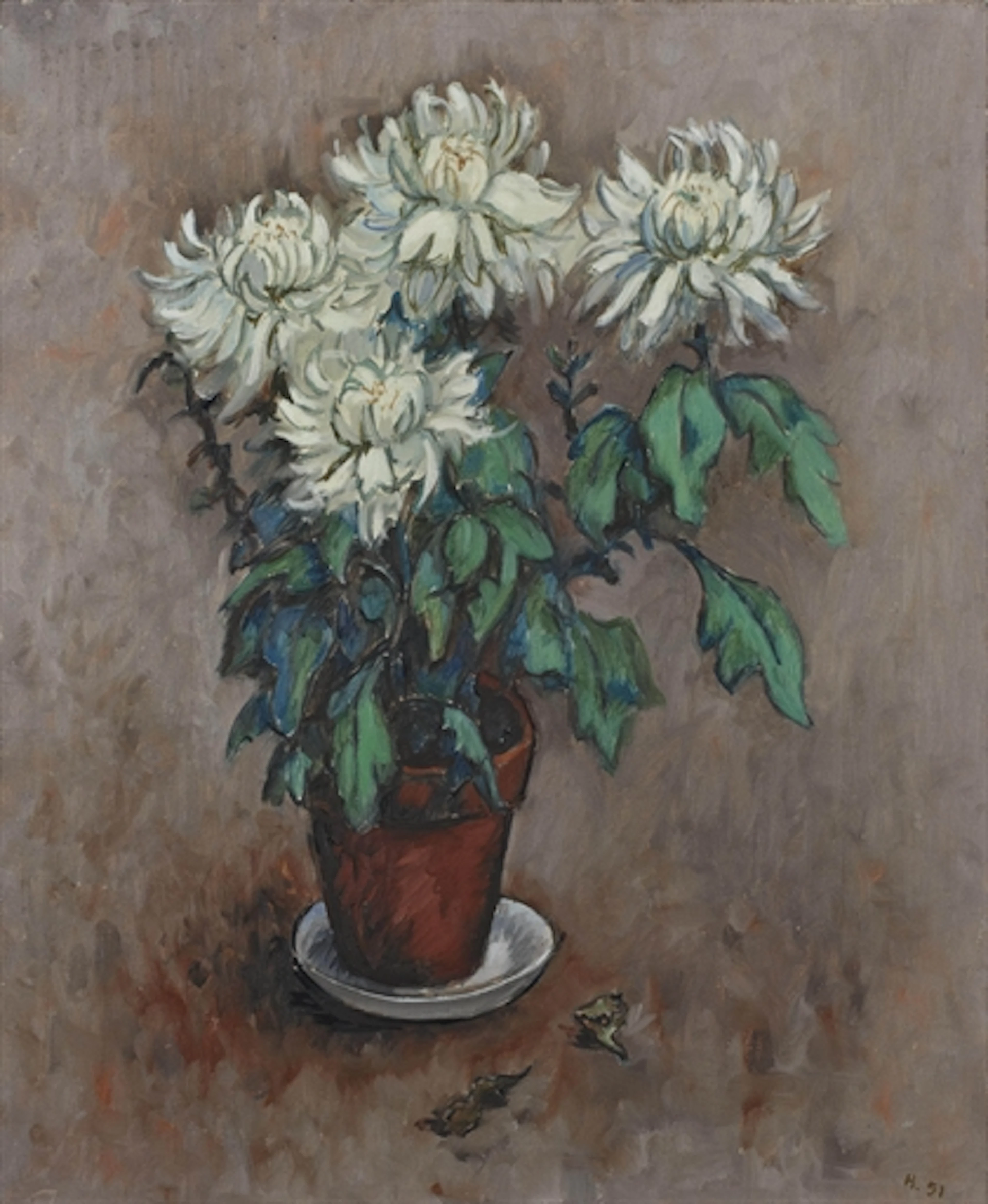 Chrysanthèmes