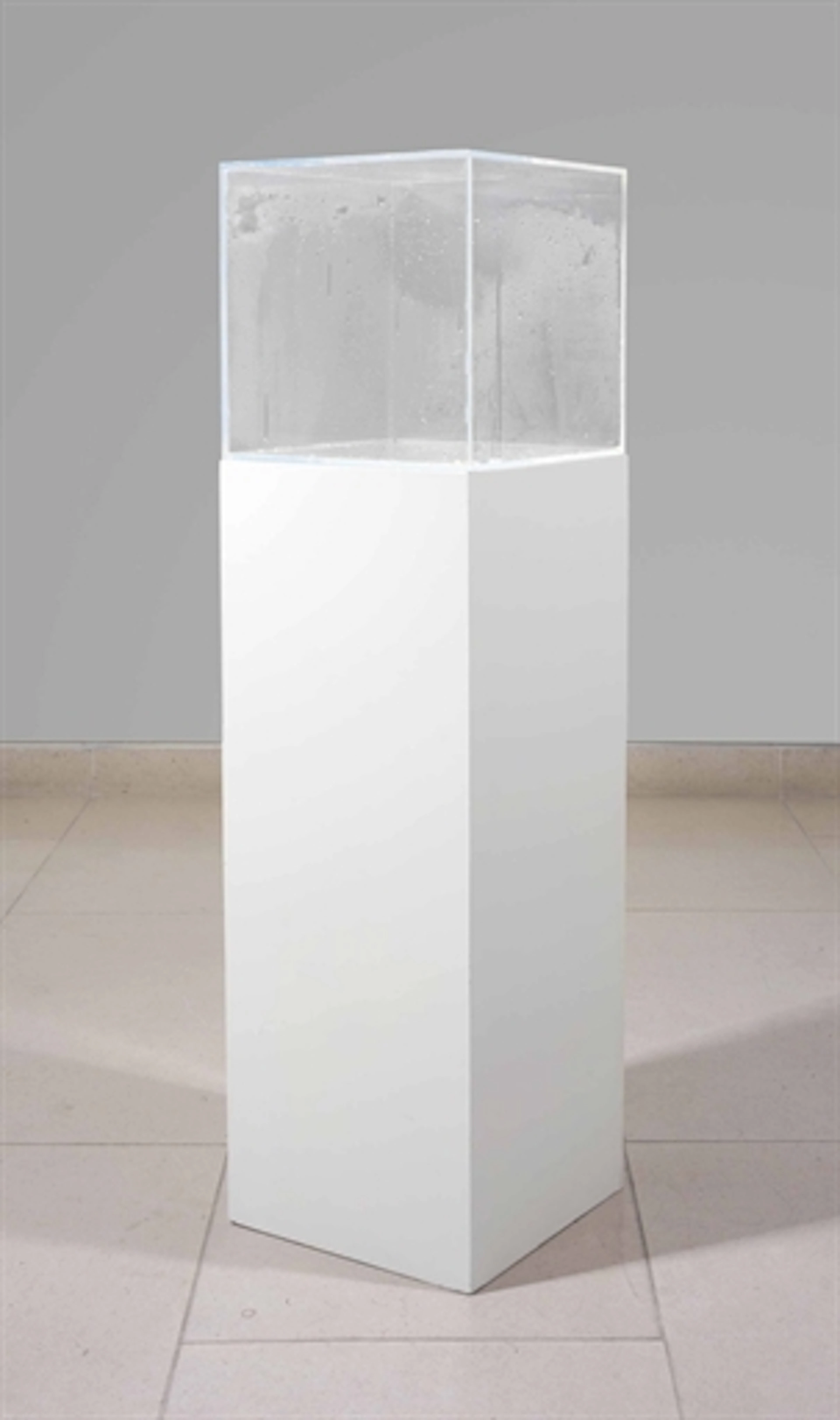 Hans Haacke (b. 1936)