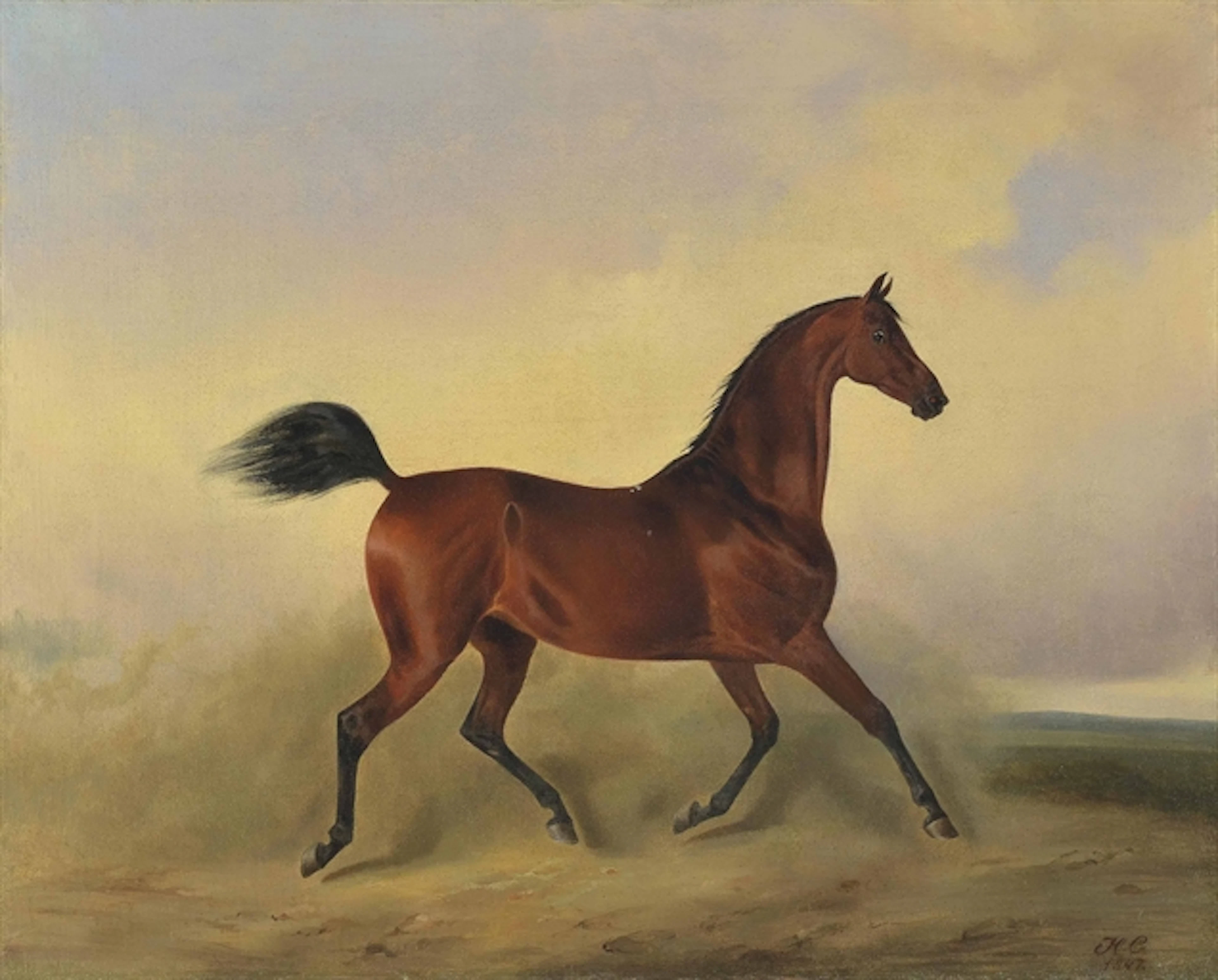 Trotting horse
