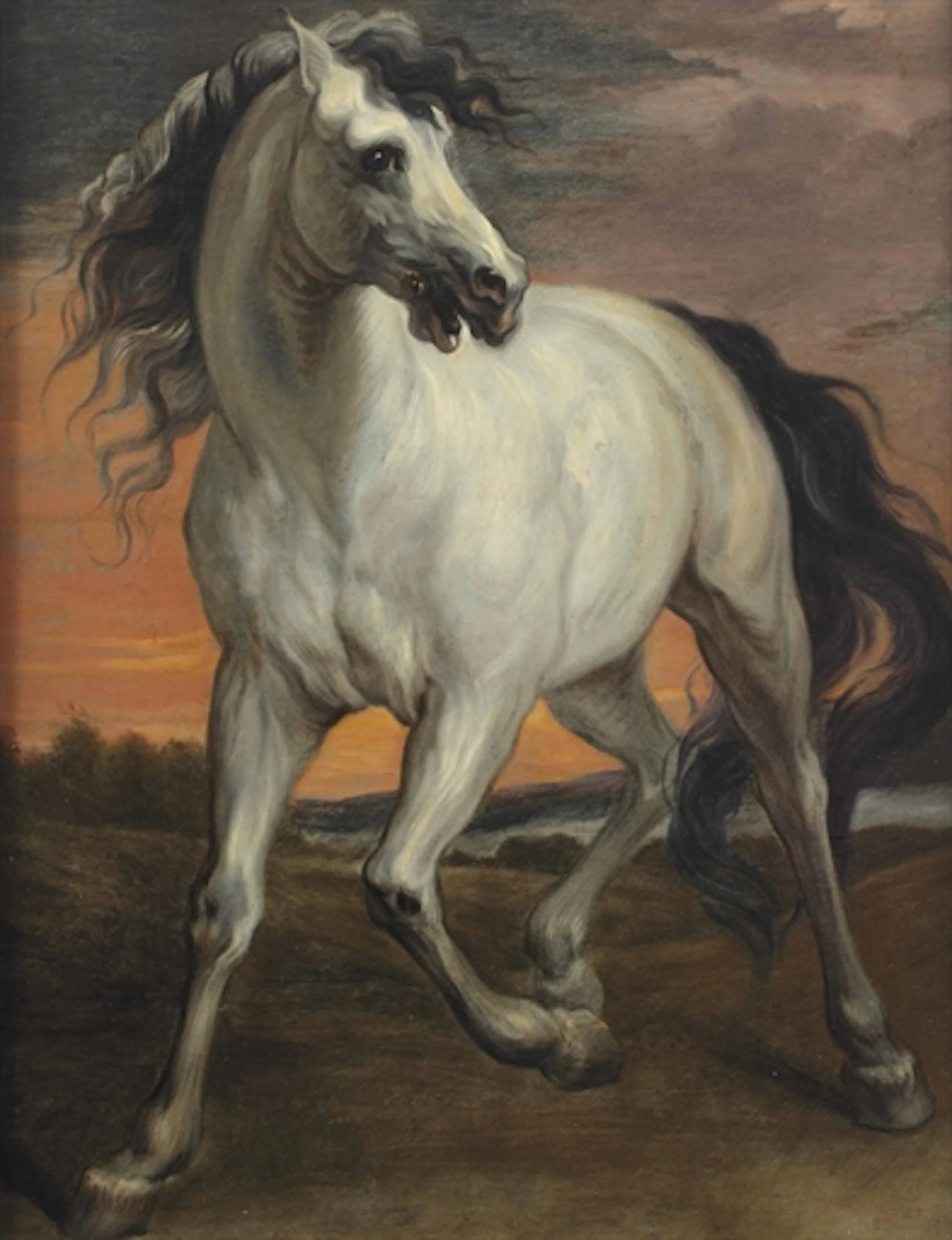 A grey stallion in a landscape