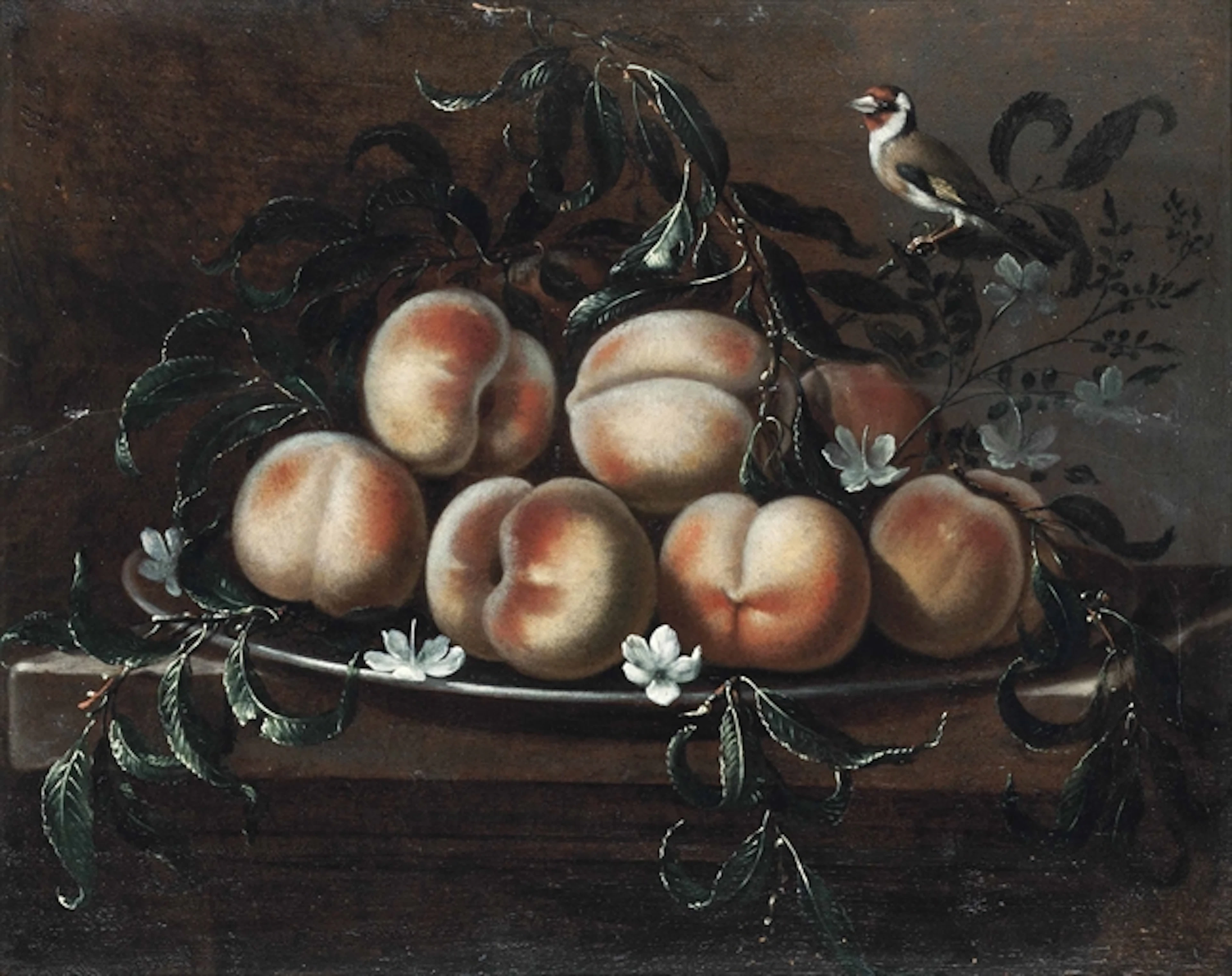 Peaches and jasmine on a pewter platter, with a goldfinch, on a stone ledge