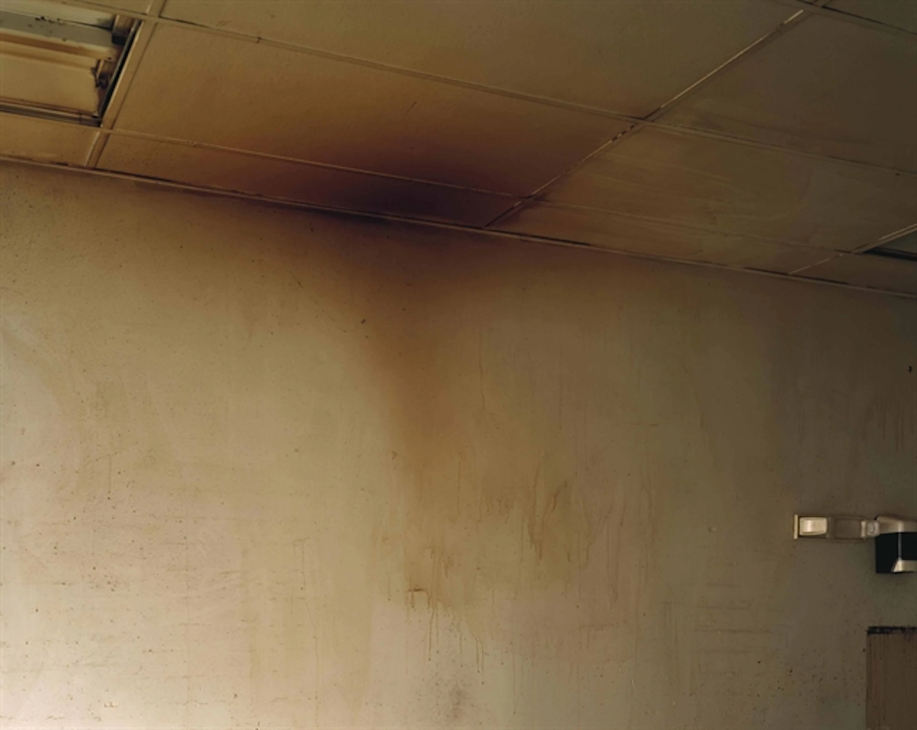 Jeff Wall (B. 1946)