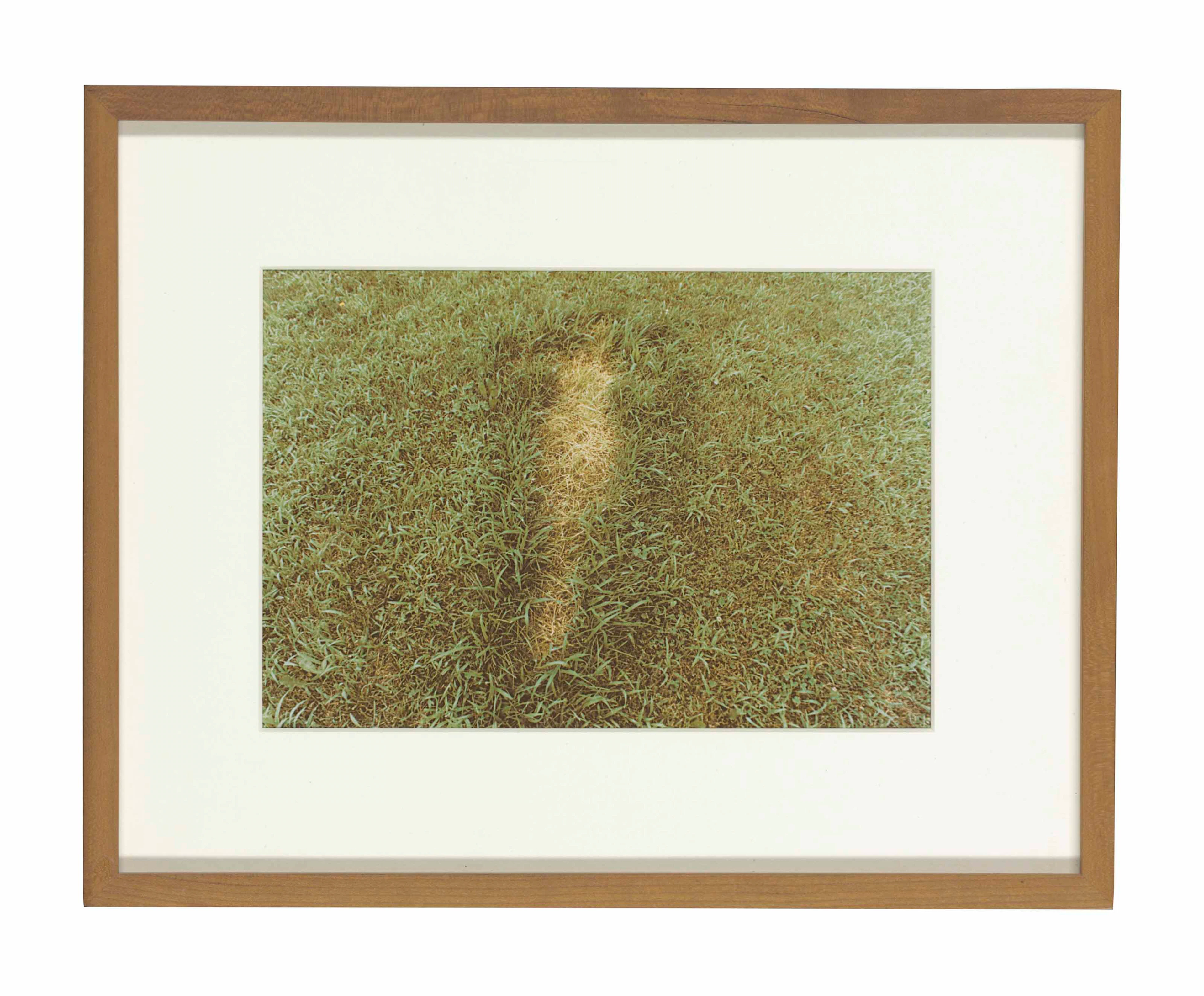 Untitled, from Silueta Series, Iowa, 1978